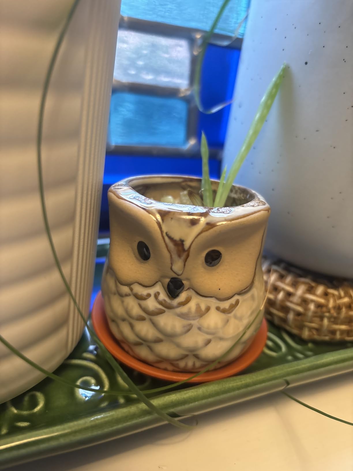 T4U Owl Succulent Pots, Mini Ceramic Planter, Retro Decor Gift Set of 12 customer photo 2