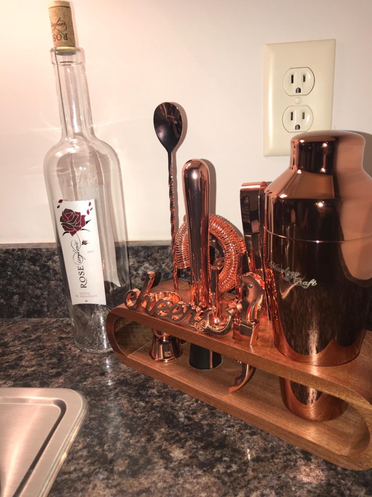 Mixology & Craft Cocktail Shaker Set with Dark Bamboo Stand - Professional 10-Piece Bartender Kit - Complete Bar Set & Cocktail Mixer Kit for Home (Silver) customer photo 1