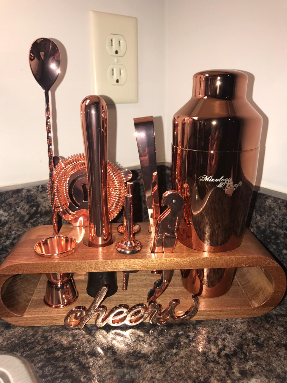 Mixology & Craft Cocktail Shaker Set with Dark Bamboo Stand - Professional 10-Piece Bartender Kit - Complete Bar Set & Cocktail Mixer Kit for Home (Silver) customer photo 2