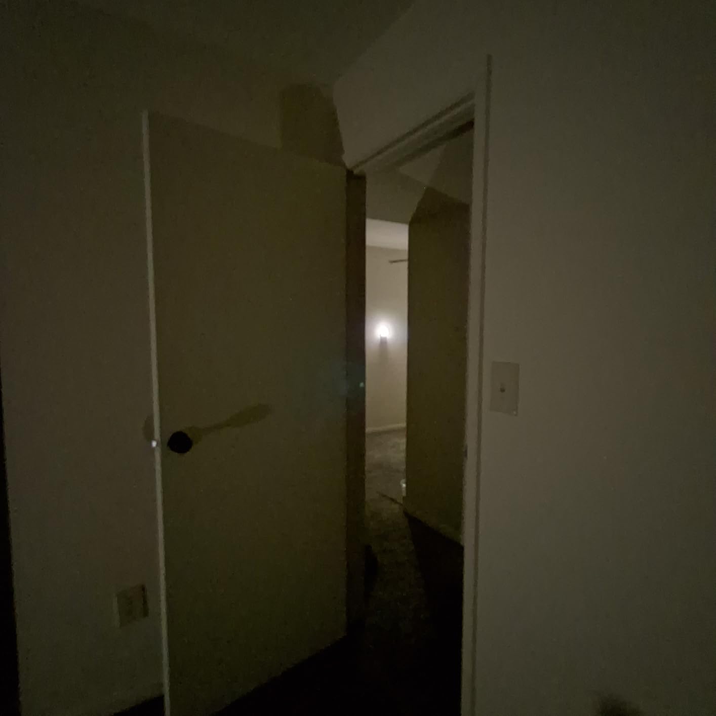 LOHAS-LED Plug in Night Light, Dimmable LED Night Lights Dusk to Dawn 2Pack customer photo 2