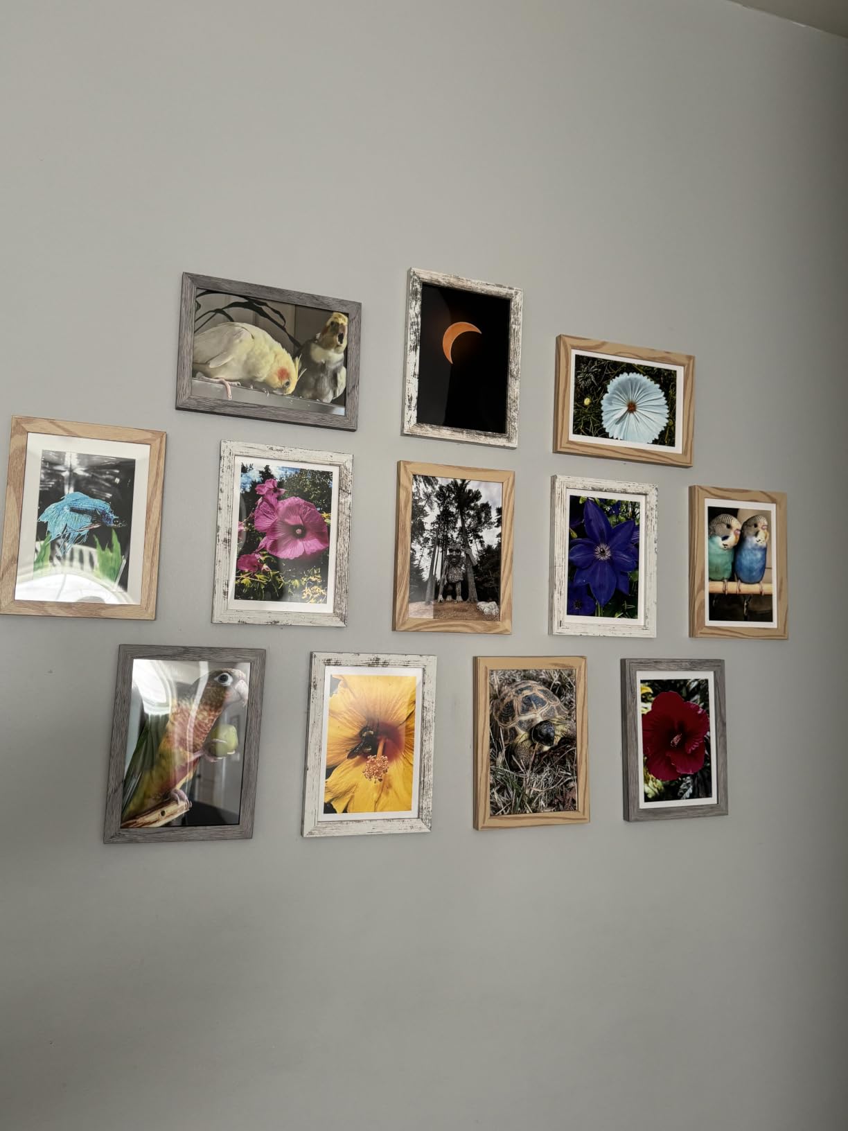 upsimples 8x10 Picture Frame Set of 10, Display Pictures 5x7 with Mat or 8x10 Without, Multi Photo Frames Collage for Wall or Tabletop Display, Black customer photo 2