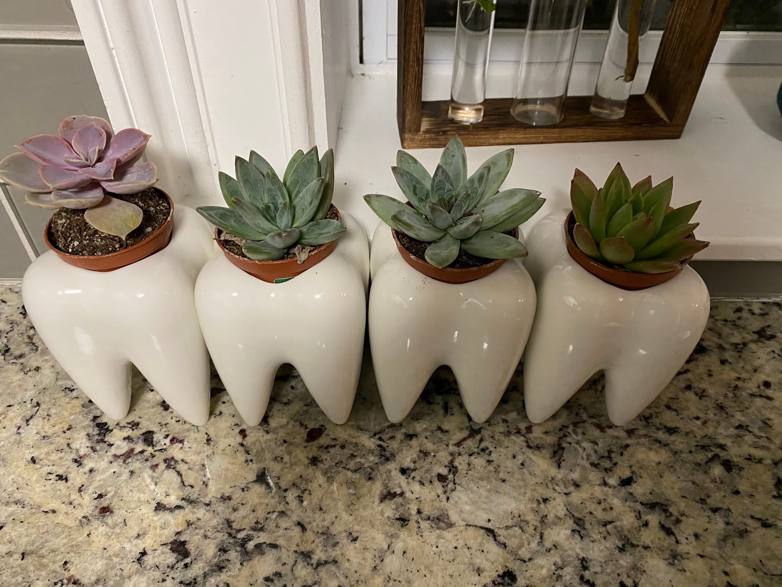 YOFIT Dental Assistant Appreciation Gifts, 4 Pack Ceramic Tooth Planter customer photo 2