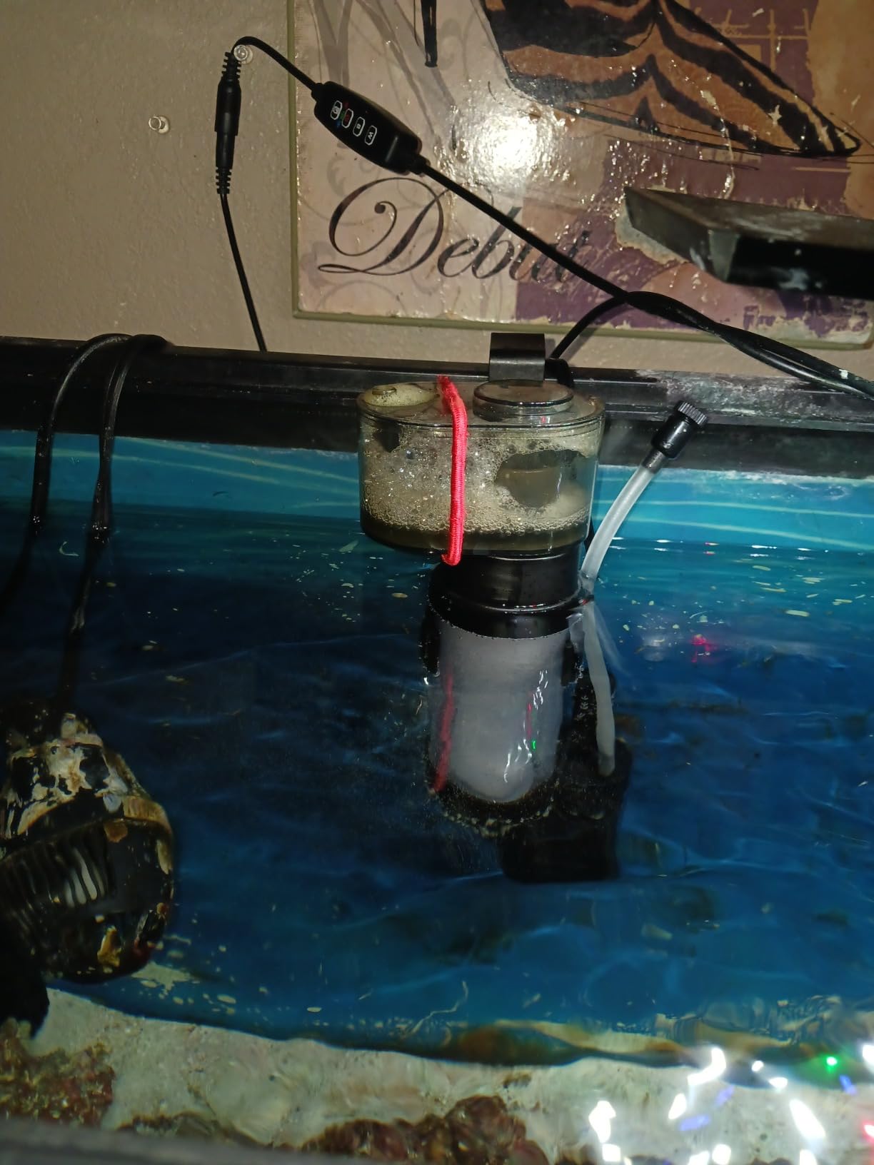 Coralife Biocube Protein Skimmer, Aquarium Skimmer customer photo 2