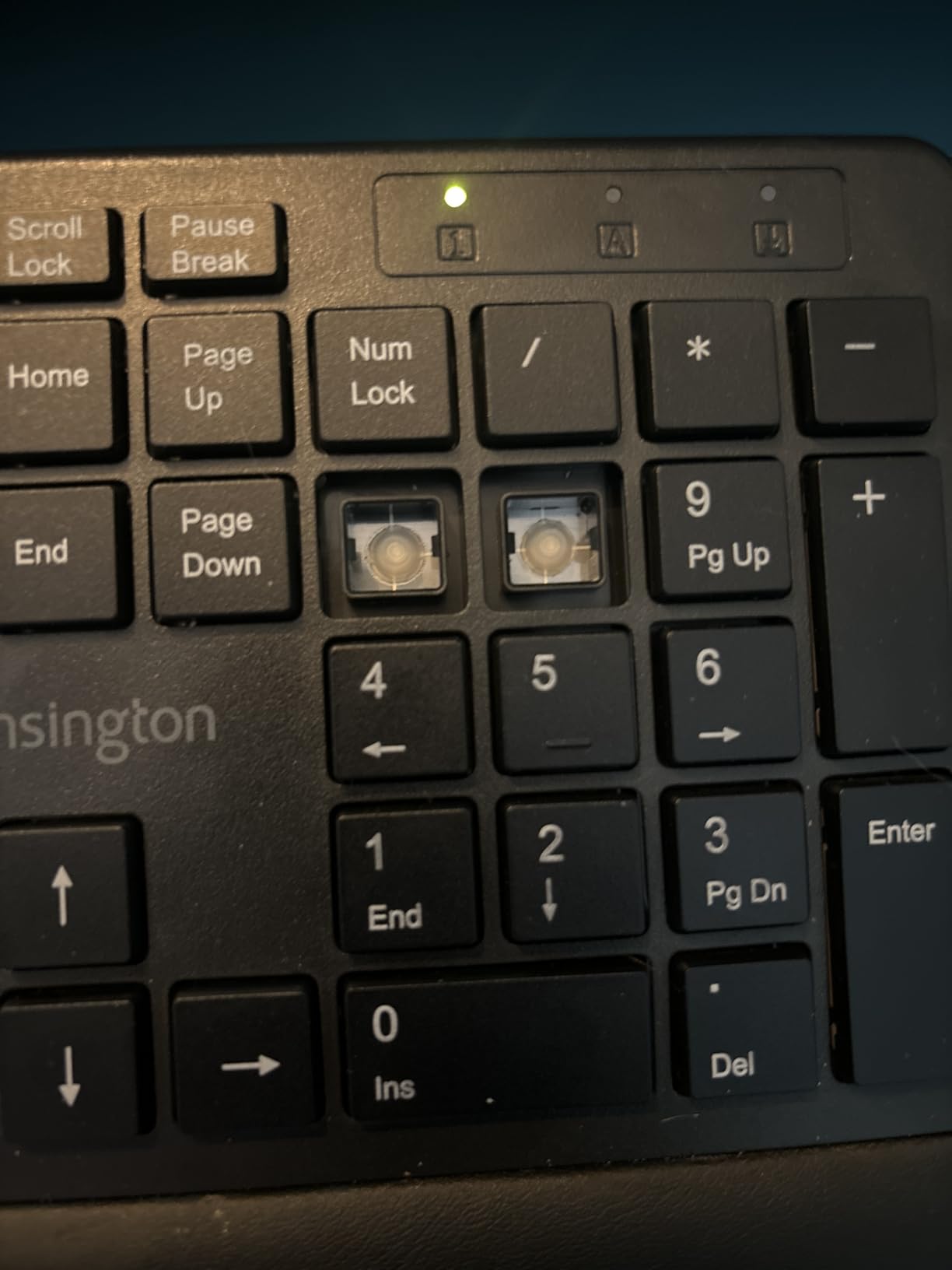 Kensington Pro Fit Ergonomic Wired Keyboard- Black (K75400US) customer photo 1