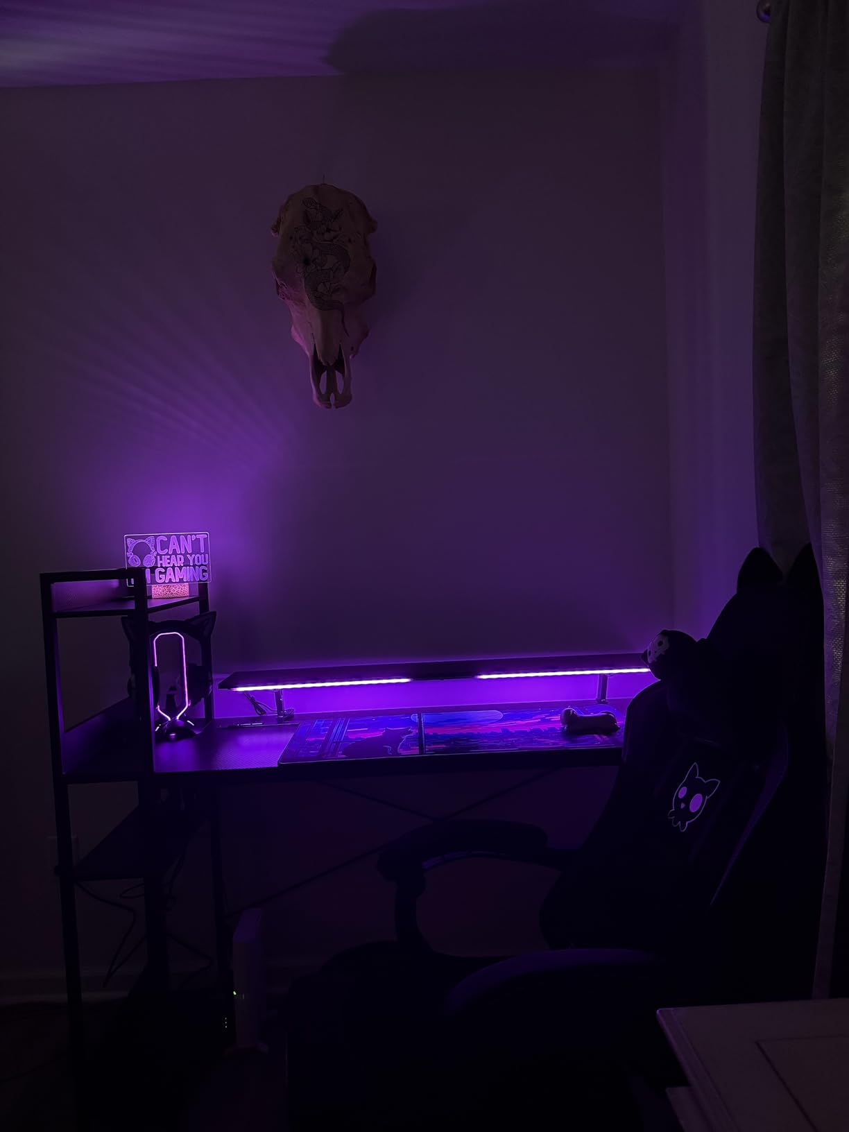 Tilted Nation Gaming Headset Stand | RGB Headphone Stand for Desk with Mouse Bungee and USB Hub (Cool and Clean Setup) Gaming Headset Holder - Perfect Gamer Gift Accessory customer photo 1