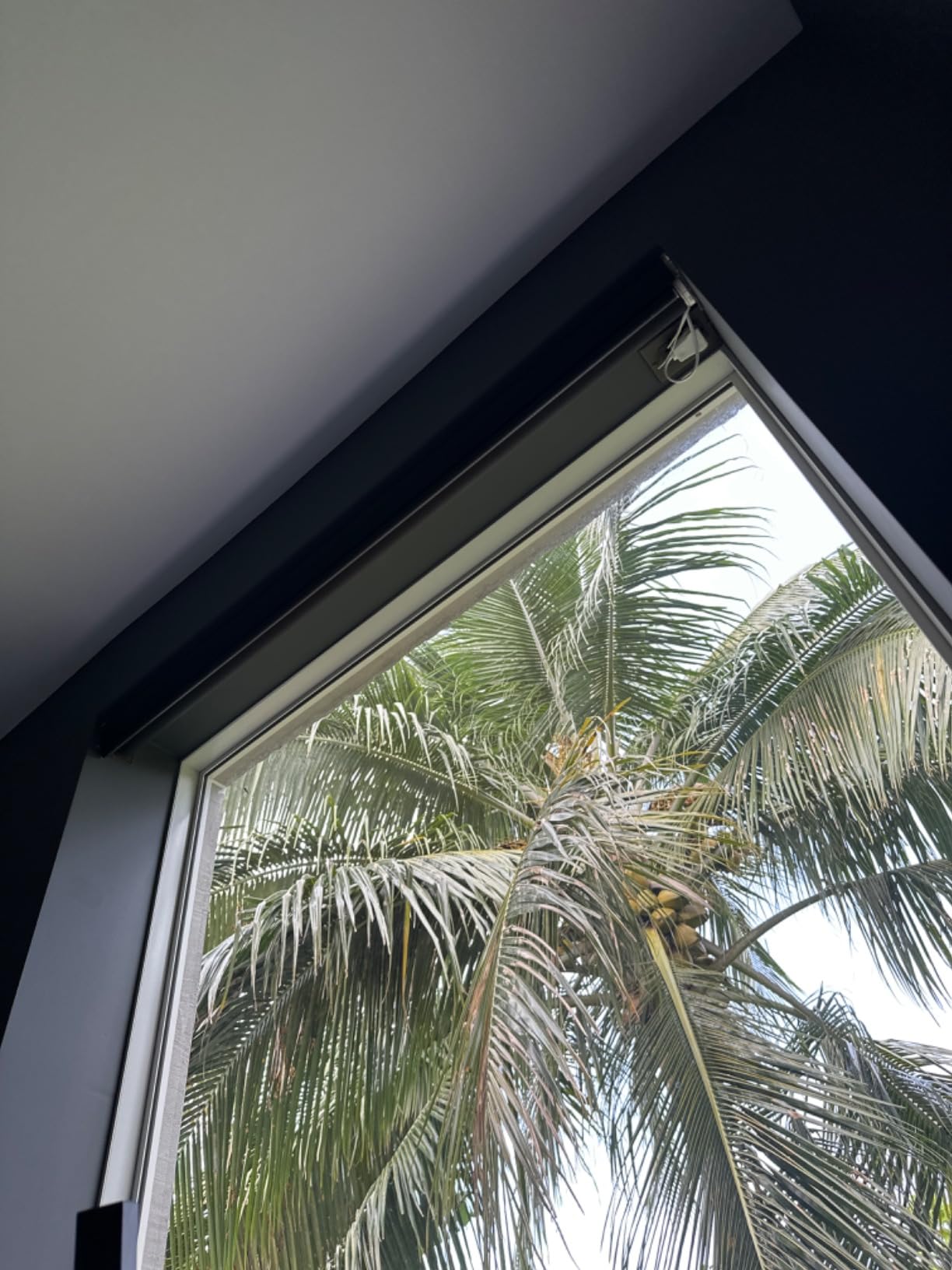 Graywind Motorized Shades 100% Blackout Compatible with Alexa Google WiFi Smart Hardwired Window Shade Remote Control Thermal Insulated Electric Blinds, Customized Size (Matt Black) customer photo 1