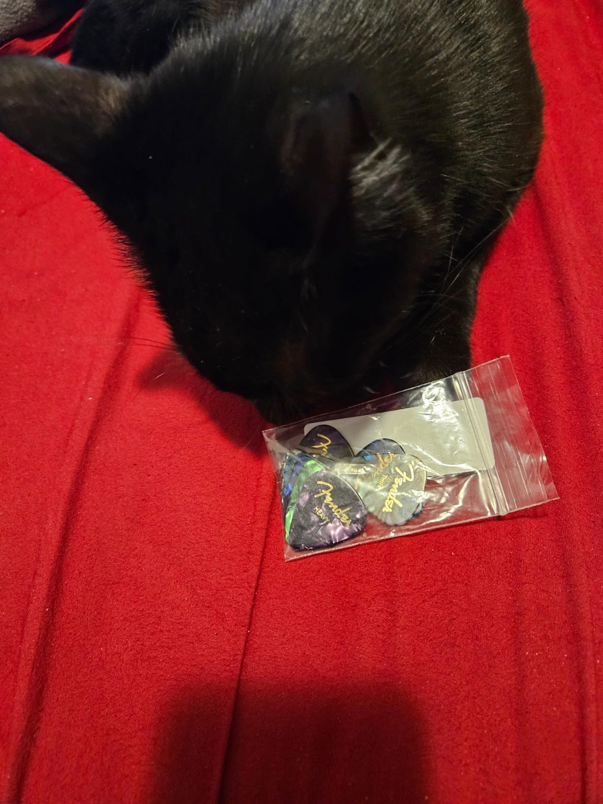 Fender Premium Picks Sampler - 12 Pack Includes Thin, Medium & Heavy Gauges (Austin Bazaar Exclusive) customer photo 1