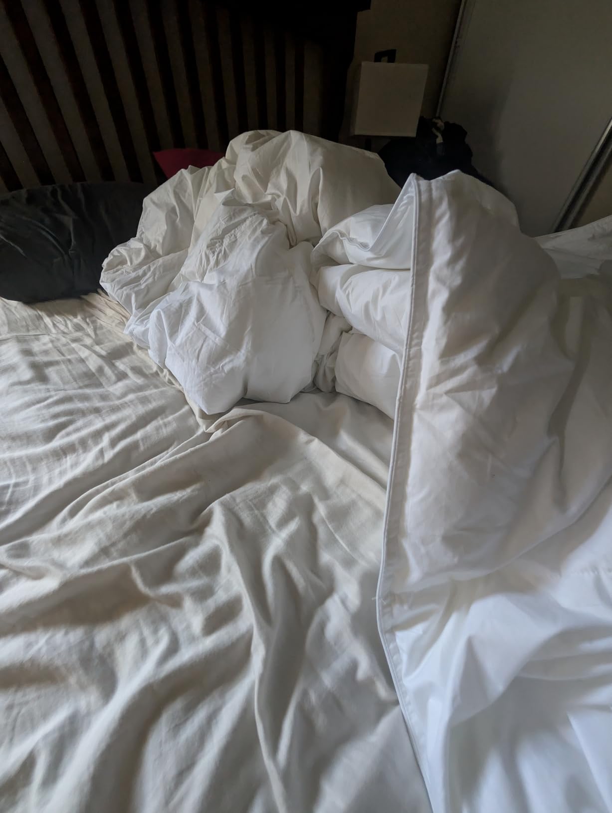 Serta Goose Feather Down Fiber Comforter Queen Size - 100% Cotton Cover Duvet Insert - Hotel Luxury Hypoallergenic Bedding Comforter Extra Warmth 90 x 90 Inch White customer photo 2