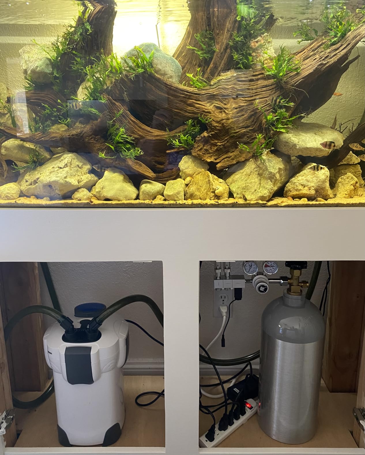 FZONE Pro Series Aquarium Dual Stage CO2 Regulator Adjustable Output Pressure with DC Solenoid and Integrated High Precision Needle Valve and Bubble Counter customer photo 1