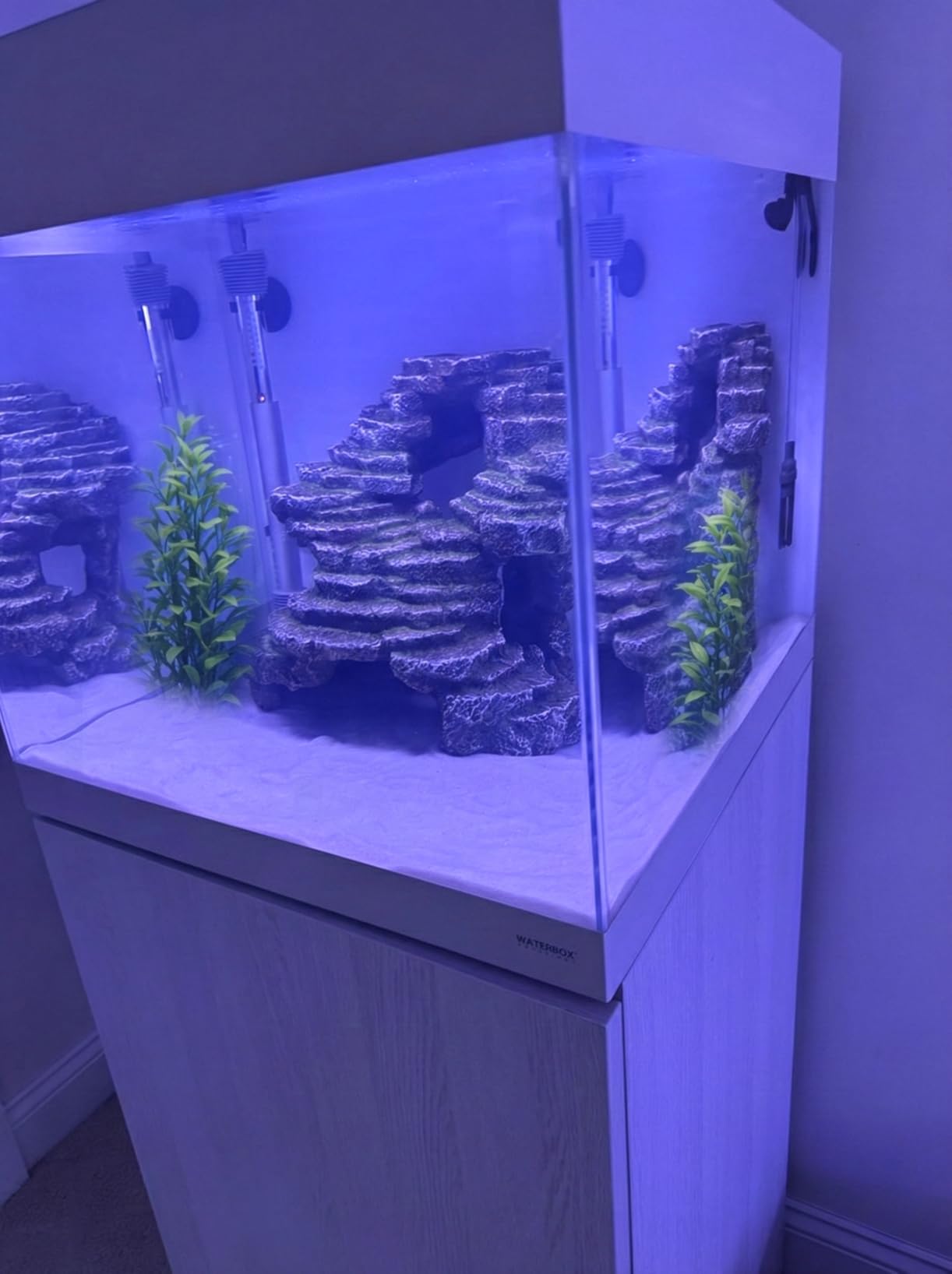 PENN-PLAX (REP183) Reptology Shale Scape Step Ledge & Cave Hideout – Decorative Resin for Aquariums & Terrariums – Great for Reptiles, Amphibians, and Fish – Large customer photo 2