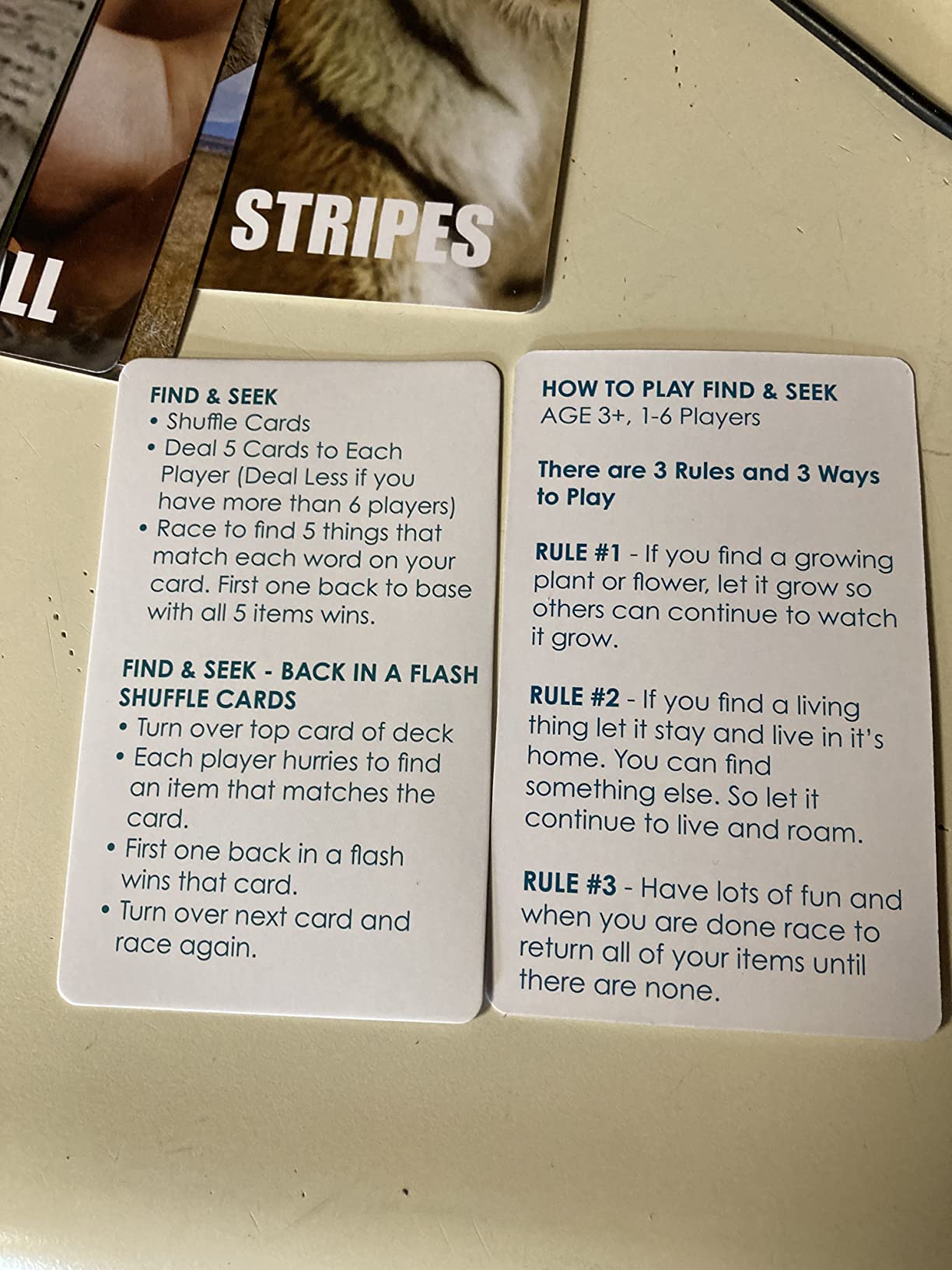 Hapinest Find and Seek Scavenger Hunt Card Game, Indoor Outdoor Activities for Kids & Family, Beach Camping Travel Car Games for Road Trips, Kids Scavenger Hunt Game Age 3 4 5 6 Years Old & Up customer photo 2