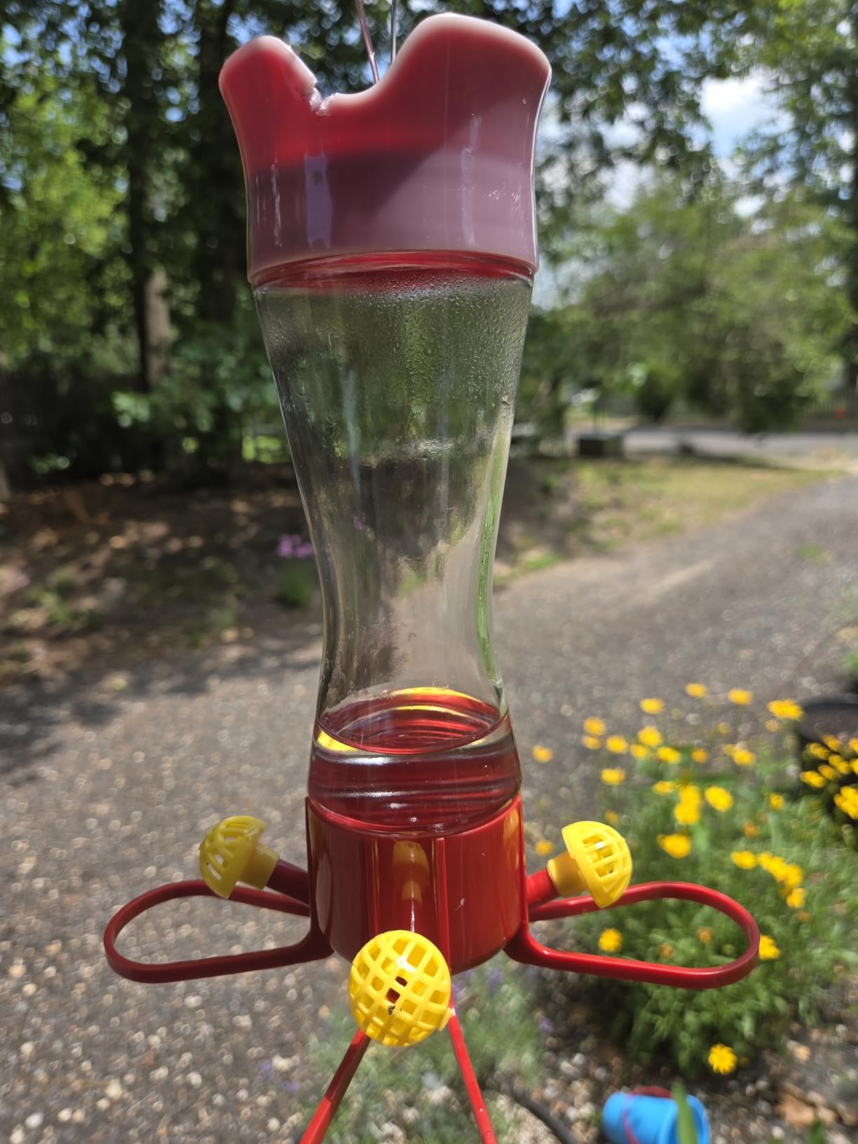 Perky-Pet Glass Hummingbird Feeders for Outdoors, 8 oz Nectar Capacity customer photo 2