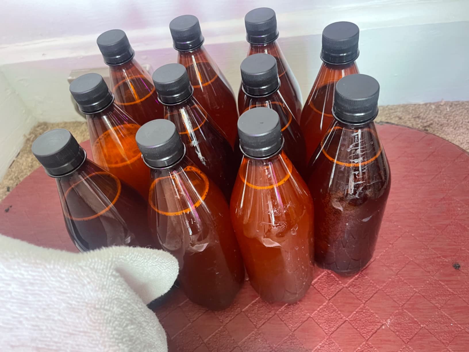 Mr. Beer - Craft Beer Making Kit 4 Gallon Complete DIY Home Brew Set Everything Included, Bottles, Refills Brew in 30 Minutes customer photo 2