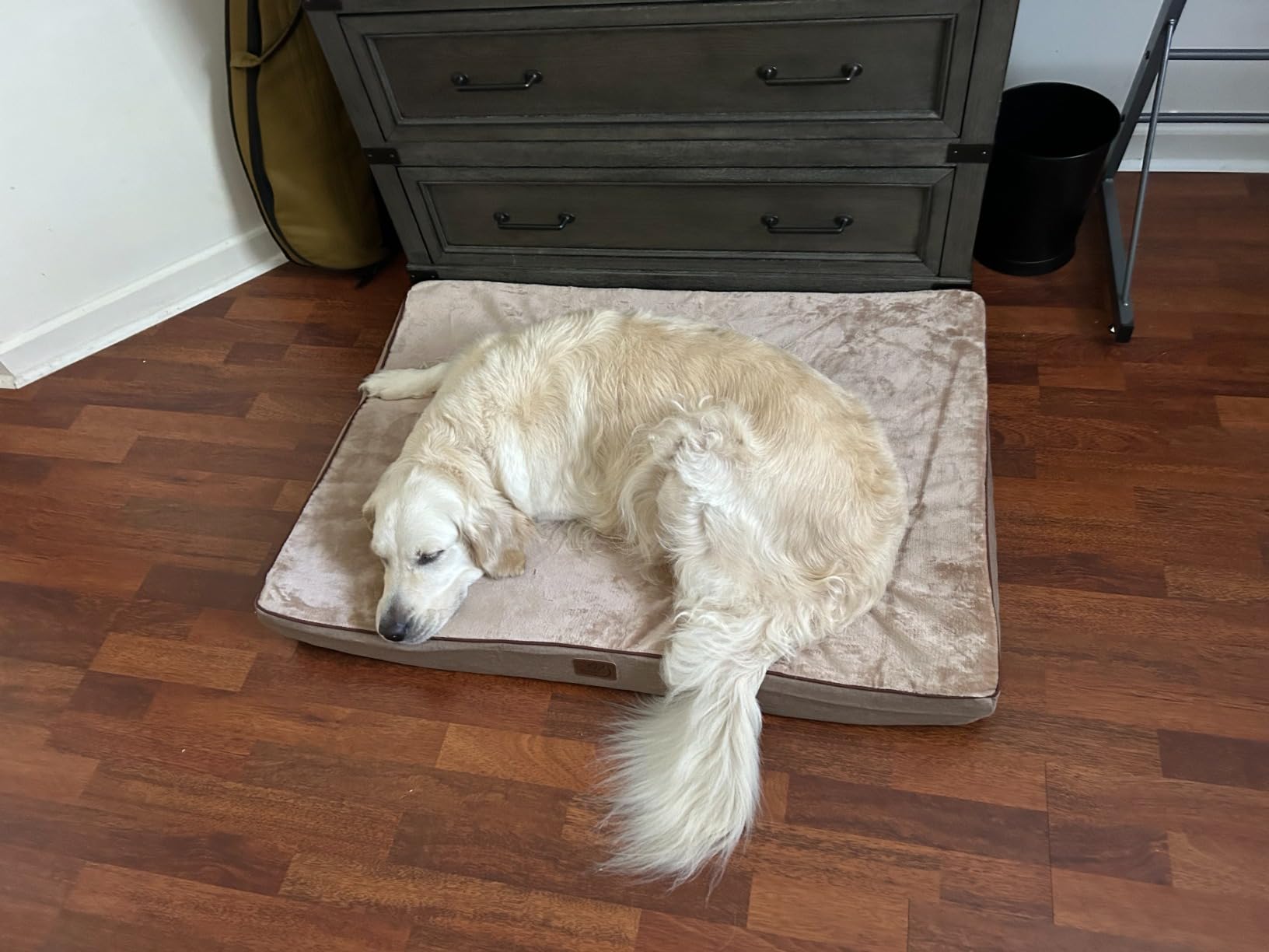 Bedsure Memory Foam Dog Beds Large Sized Dog, Orthopedic Crate Pads, 35x22 customer photo 2
