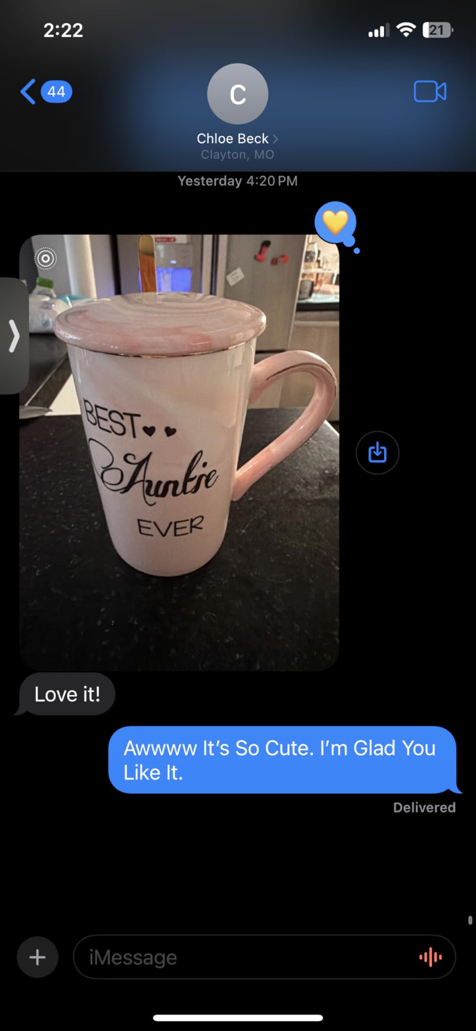Aunt Gifts for Aunts from Niece - Mothers Day Birthday Gifts for Aunt customer photo 2