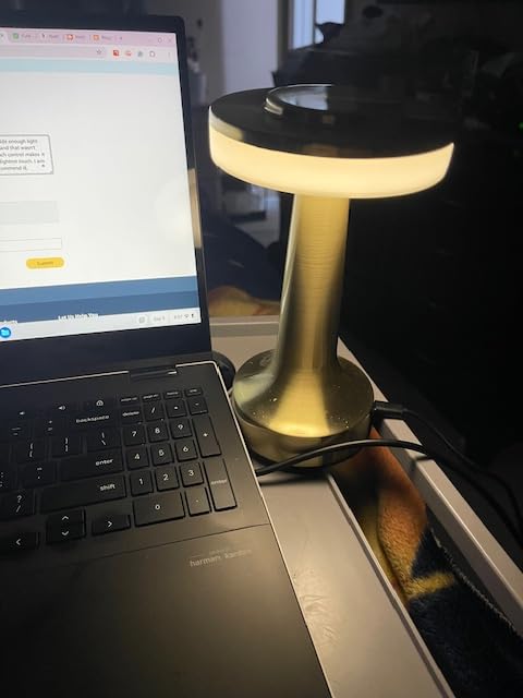 O'Bright Dome Cordless Rechargeable LED Mushroom Table Lamp, Gold customer photo 1