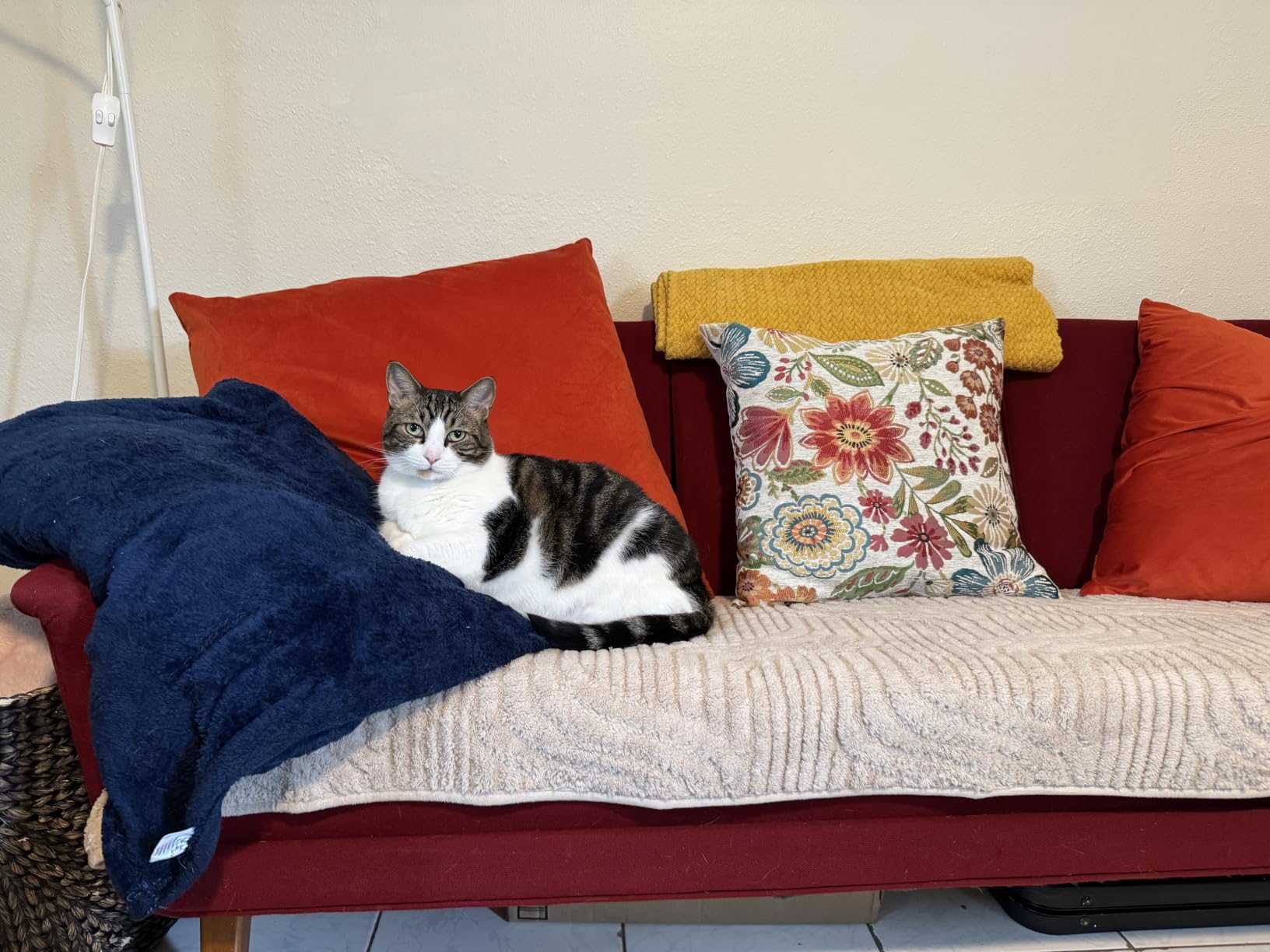 DEZENE Throw Pillow Covers 18x18 Wine Red: Pack of 2 Cozy Soft Velvet Square Modern Luxury Decorative Throw Pillow Cases for Christmas Sofa Couch Living Room Bed Home Decor customer photo 2