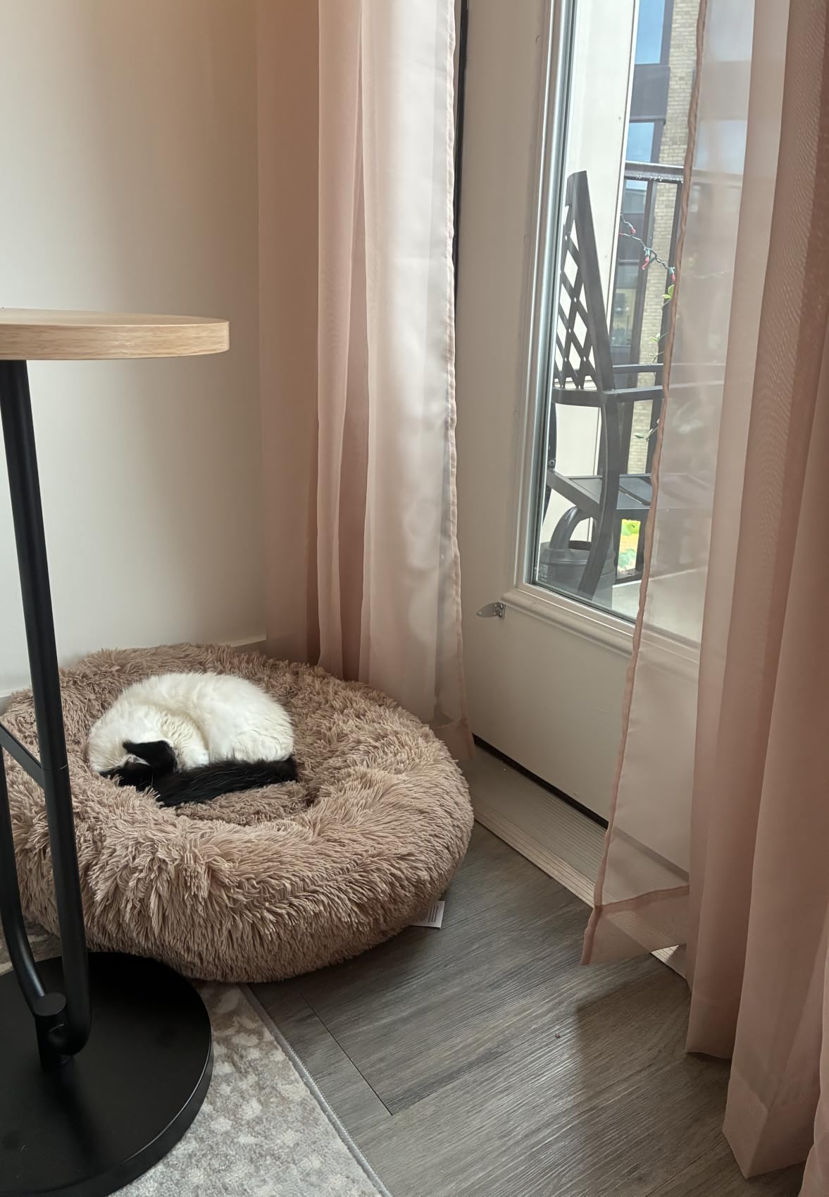 Bedsure Calming Small Dog Bed Donut Washable Cat&Puppy Bed,23 inches Camel customer photo 1