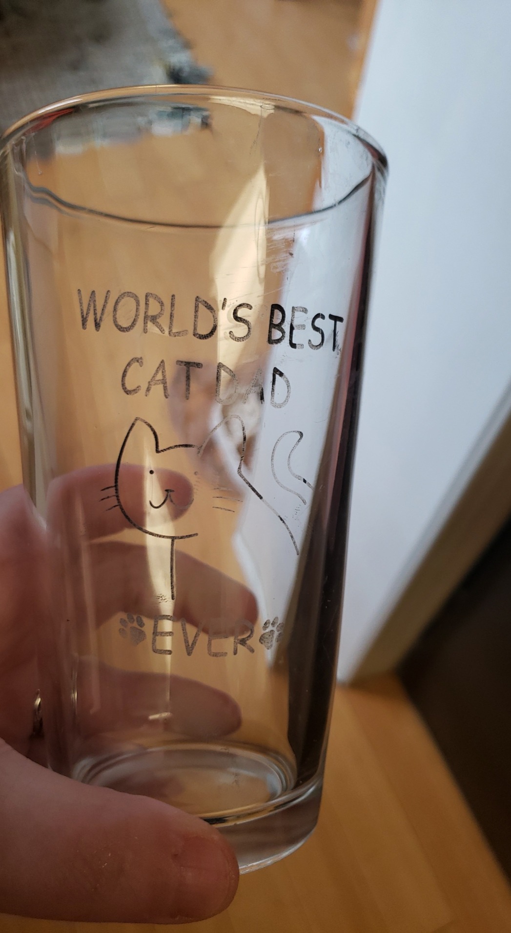 World's Best Cat Dad Ever Beer Glass, Novelty Gifts Idea for Dad Father Cat Dad Friends Men Cat Lover Pet Owner, Cat Lover Gift for Father’s Day Birthday Christmas, Funny 15Oz Drinking Beer Glass customer photo 1
