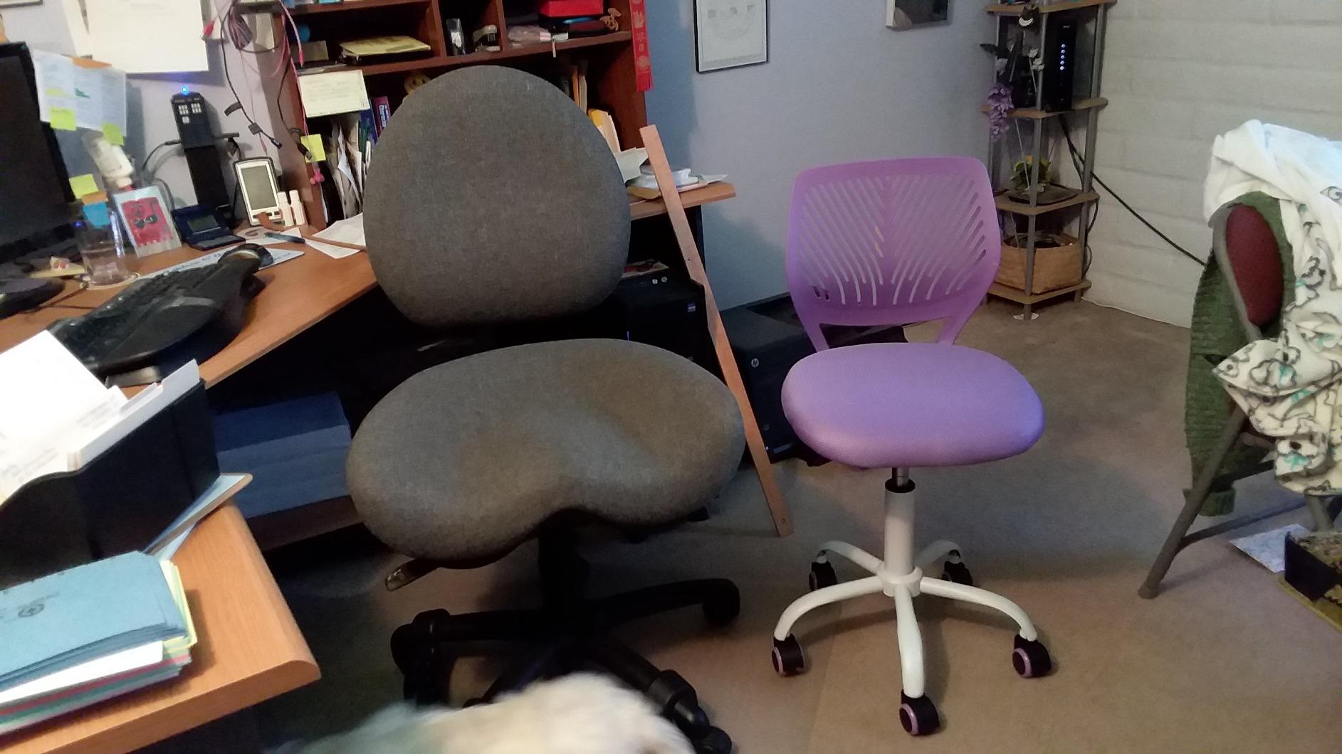 GIANTEX Kids Desk Chair, Adjustable Children Study Chair, Swivel Armless Mesh Task Office Chair, Computer Desk Chair with Adjustable Height & Lumbar Support (Purple) customer photo 2
