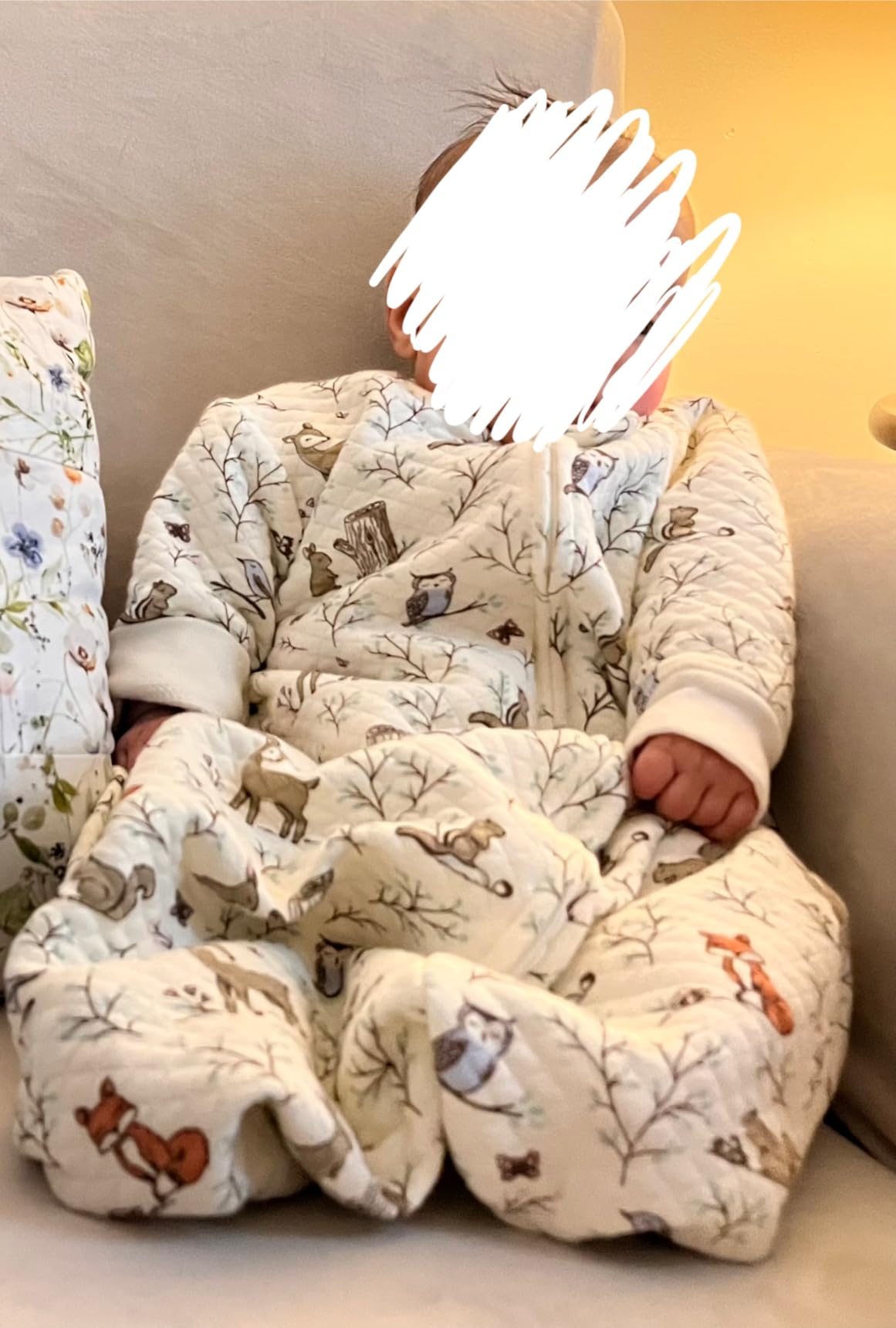 Hudson Baby Unisex Baby Premium Quilted Long Sleeve Sleeping Bag and Wearable Blanket customer photo 1