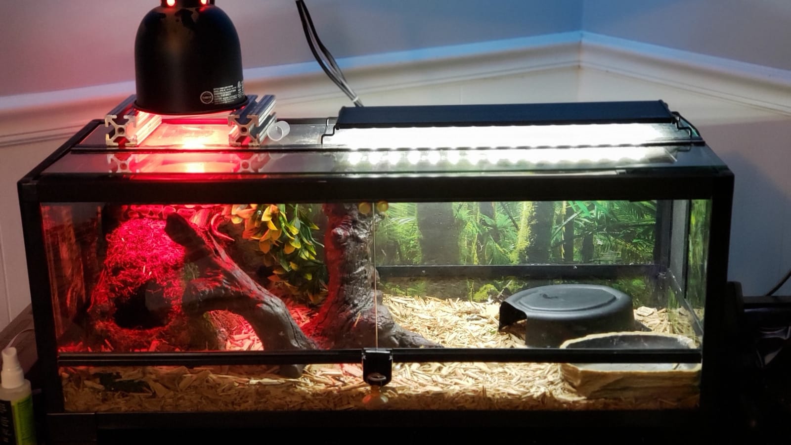 REPTI ZOO Reptile Aquarium Terrarium LED Light Ultra-thin Day and Night Light for Reptiles Aquarium Light, 3-Color Modes LED Light Hood 15W for 18 inch or Larger Terrariums for Reptile Plant Fish Tank customer photo 1