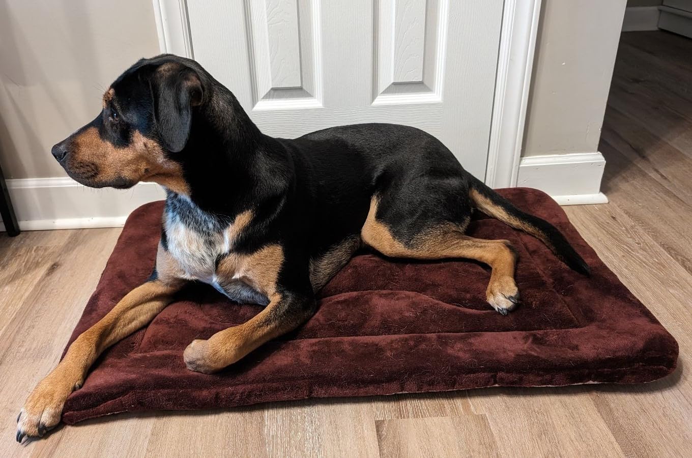 Large Dog Bed Soft Dog Crate Pad Mat, 42 in Non-Slip Bottom Washable Dog Sleeping Mattress Pet Beds Cat Bed Kennel Pad, Dark Blue Gray customer photo 1