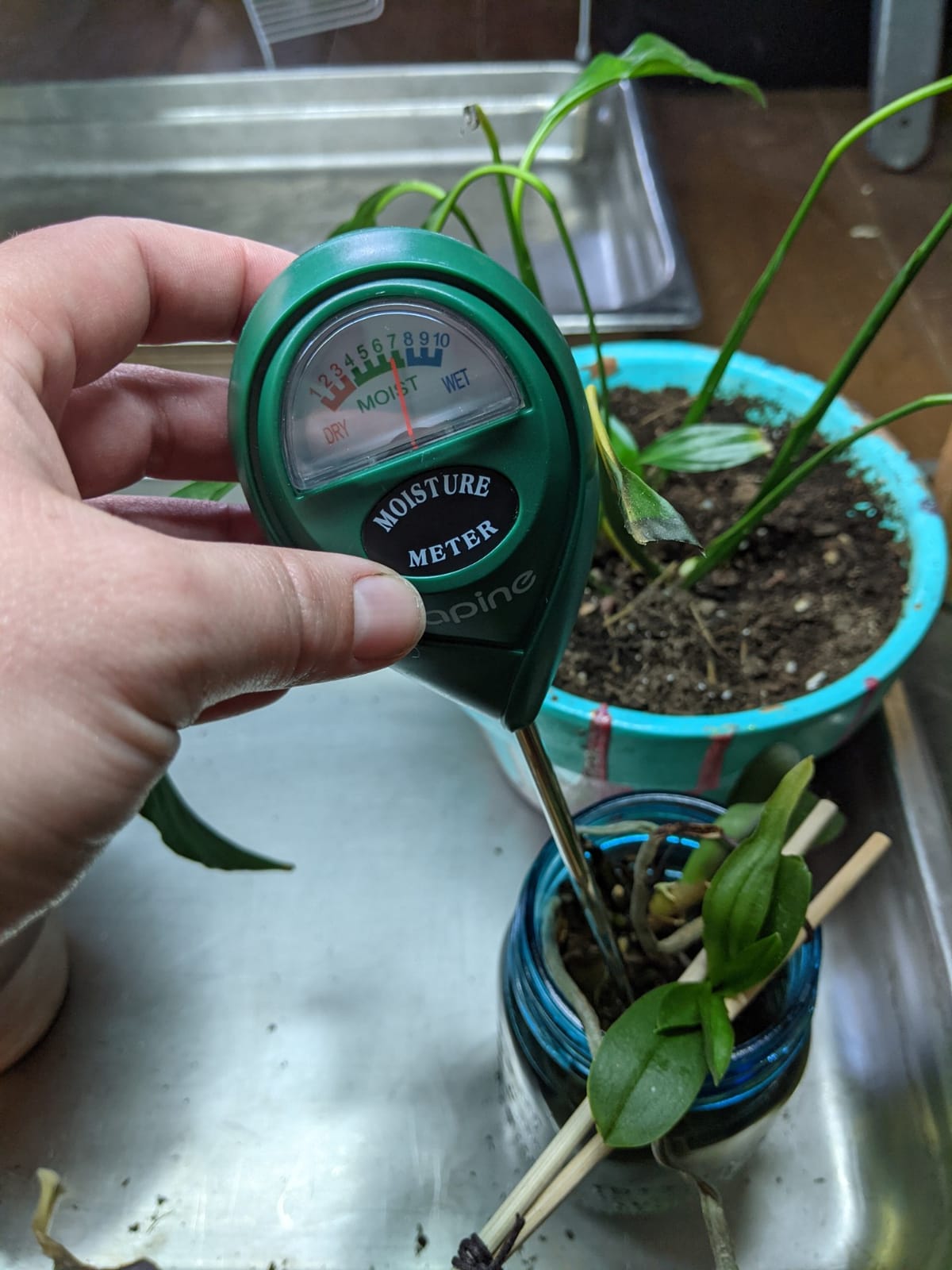 apine Soil Moisture Meter,Plants Moisture Meter,Plant Water Meter for Indoor/Outdoor Plants,Hydrometer for Plants(Green) customer photo 1