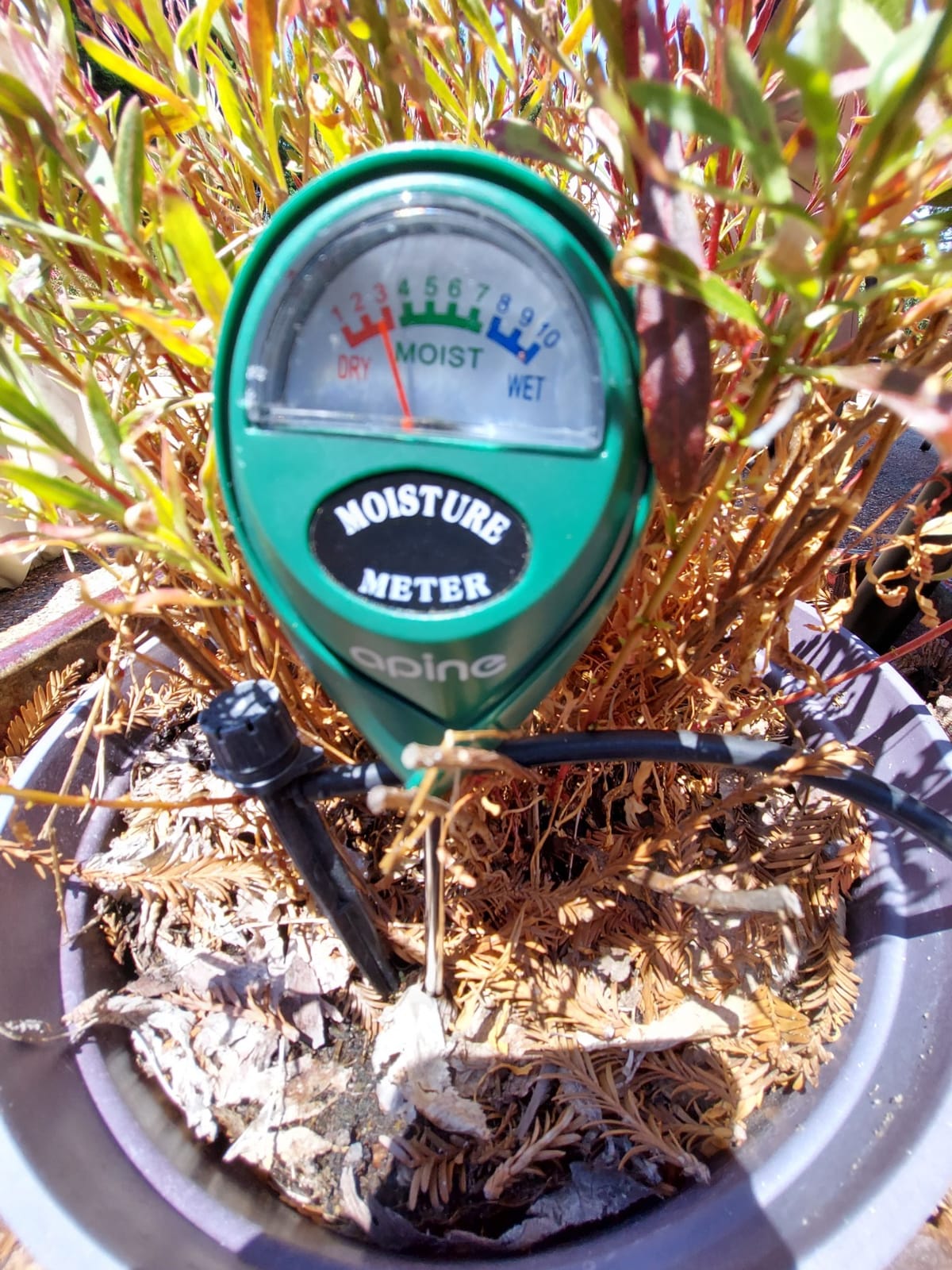 apine Soil Moisture Meter,Plants Moisture Meter,Plant Water Meter for Indoor/Outdoor Plants,Hydrometer for Plants(Green) customer photo 2