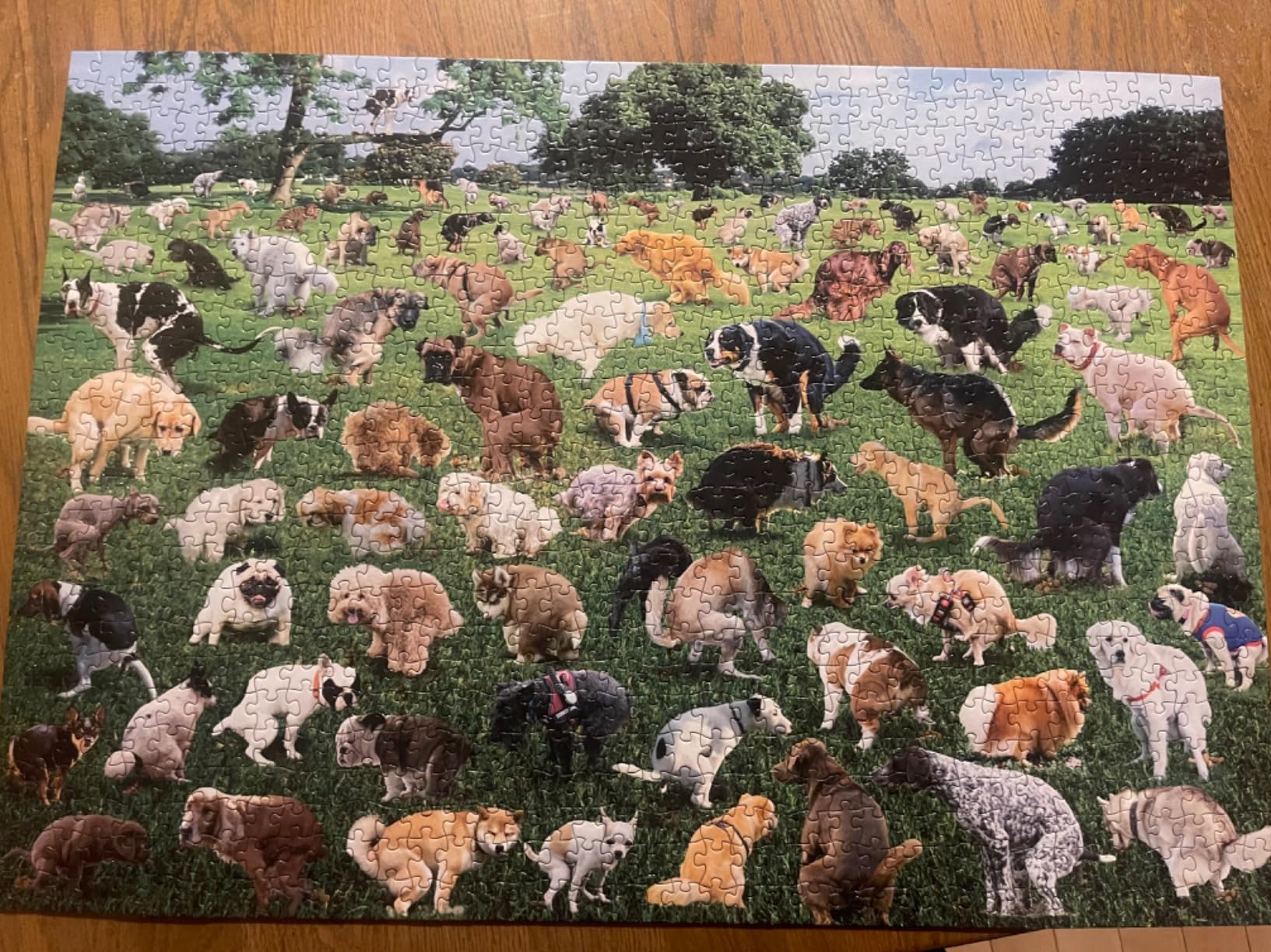 Funwares 101 Pooping Puppies Puzzle, 1000 Piece Jigsaw, Dog Lover Gag Gift customer photo 2