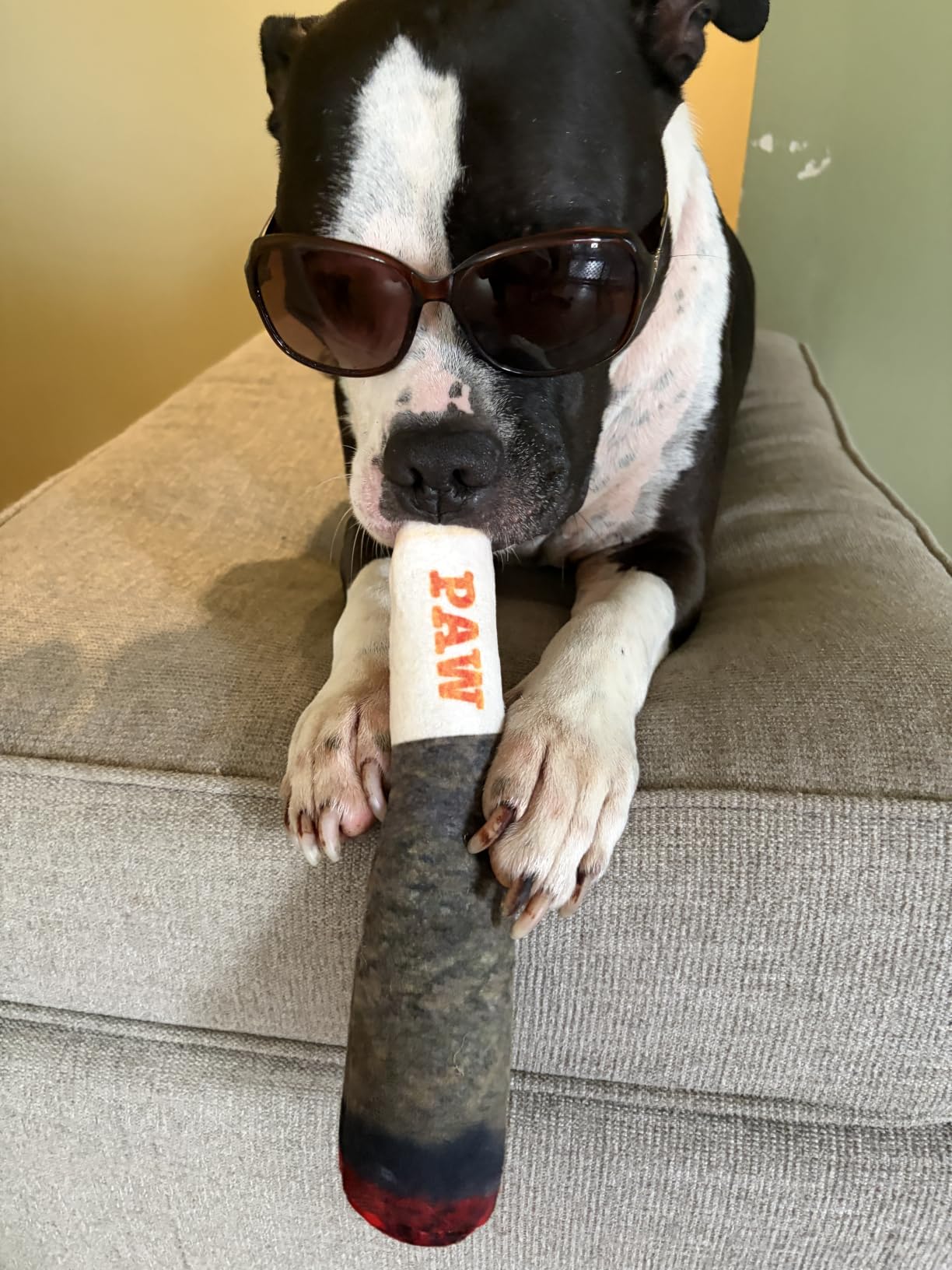 Nestpark Doggy Doobie - Funny Dog Toys - Plush Squeaky Toys for Medium, Small and Large - Cool Stuffed for Dog Birthday customer photo 2