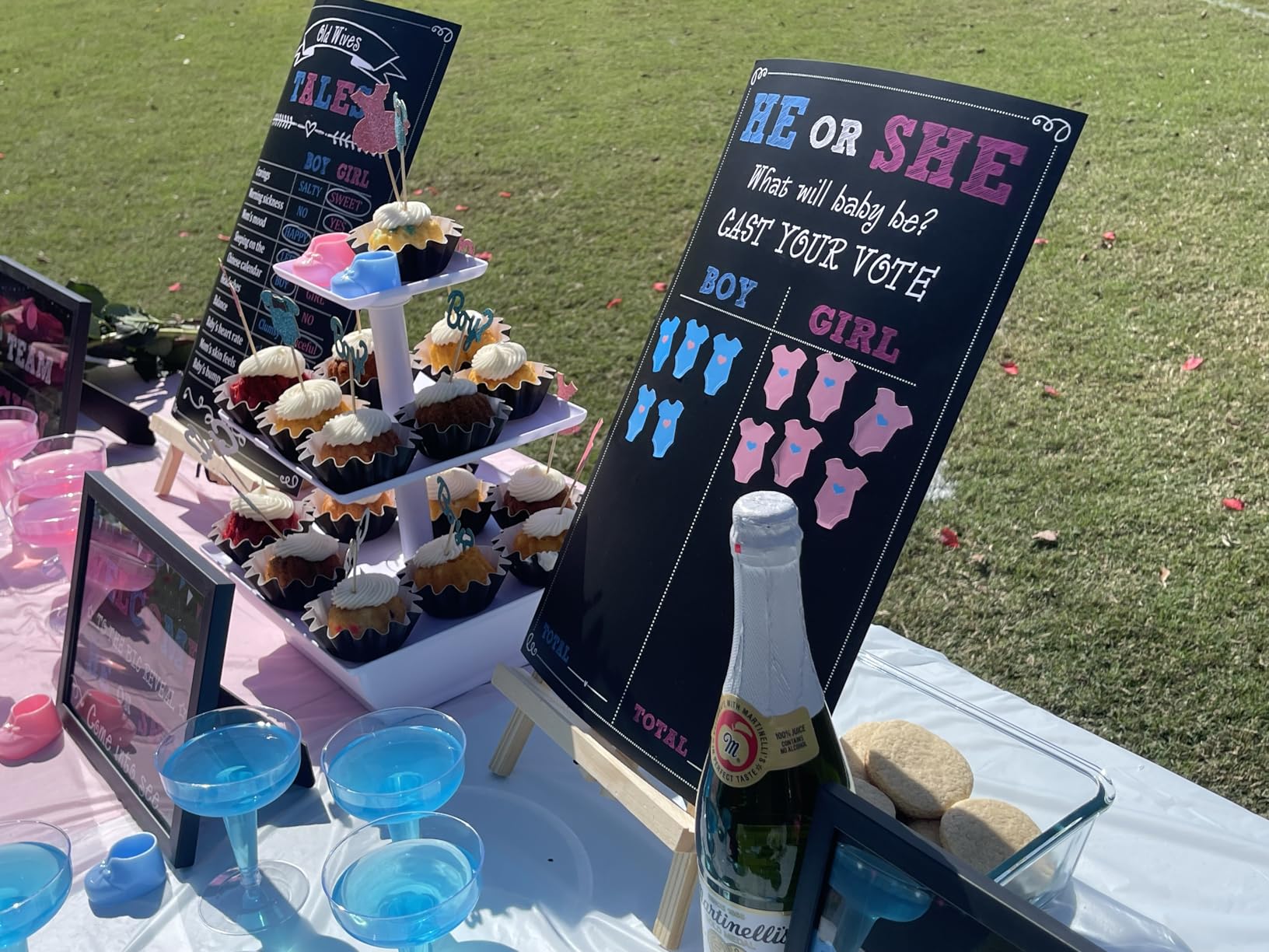 Baby Gender Reveal Party Supplies Kit, Photo Props Games Decorations,Boy or Girl, Includes 3 Game Posters (11x17), 3 Signs (8x10), 1 Erasable Marker, 48 Blue and Pink Voting Stickers customer photo 2