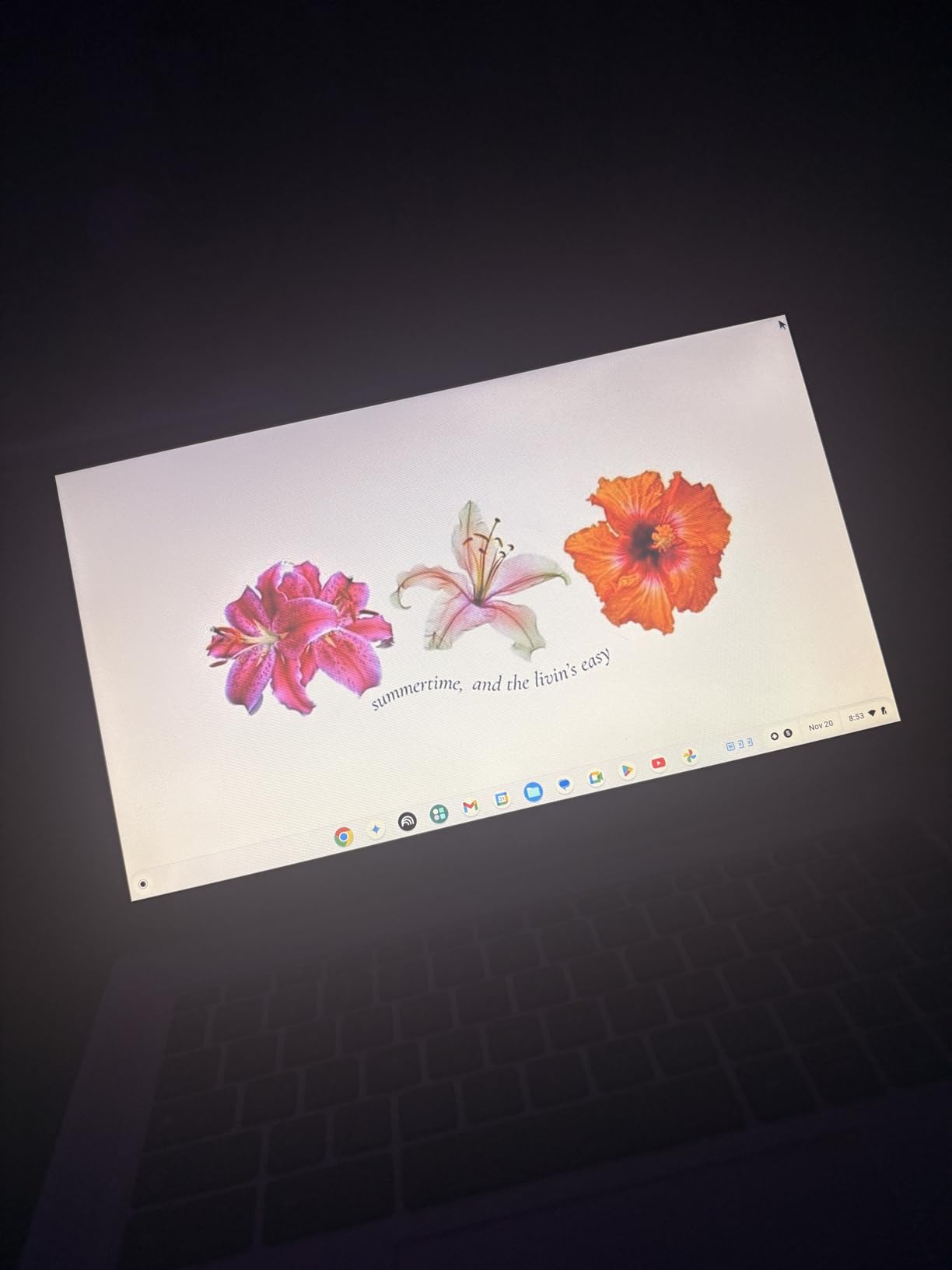 HP Chromebook 14 Laptop, Intel Celeron N4000 Processor, 4 GB RAM, 32 GB eMMC, 14” HD Display, Chrome, Lightweight Computer with Webcam and Dual Mics, Home, School, Music, Movies (14a-na0021nr, 2021) customer photo 1