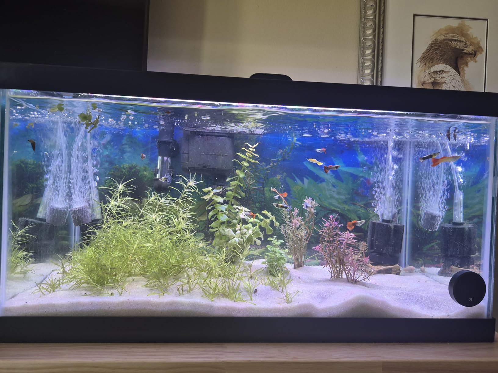 Tetra Water Cleaner Gravel Siphon for Aquariums Up to 55 Gal customer photo 1