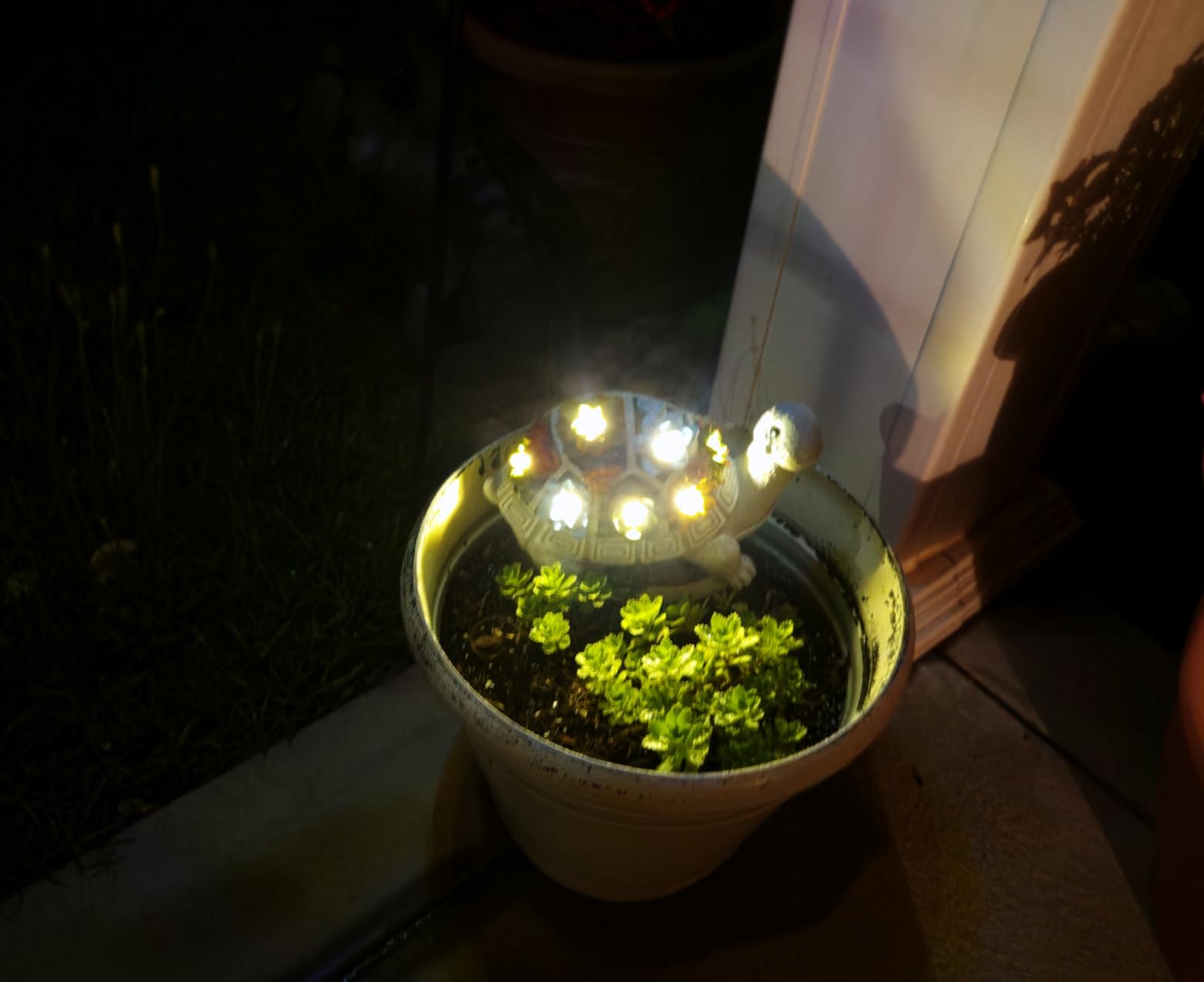 Nacome Solar Garden Outdoor Statues Turtle with Succulent | 7 LED Lights, Lawn Decor Statue for Patio, Balcony, Yard Ornament, Gifts for Mom Grandma Women customer photo 1