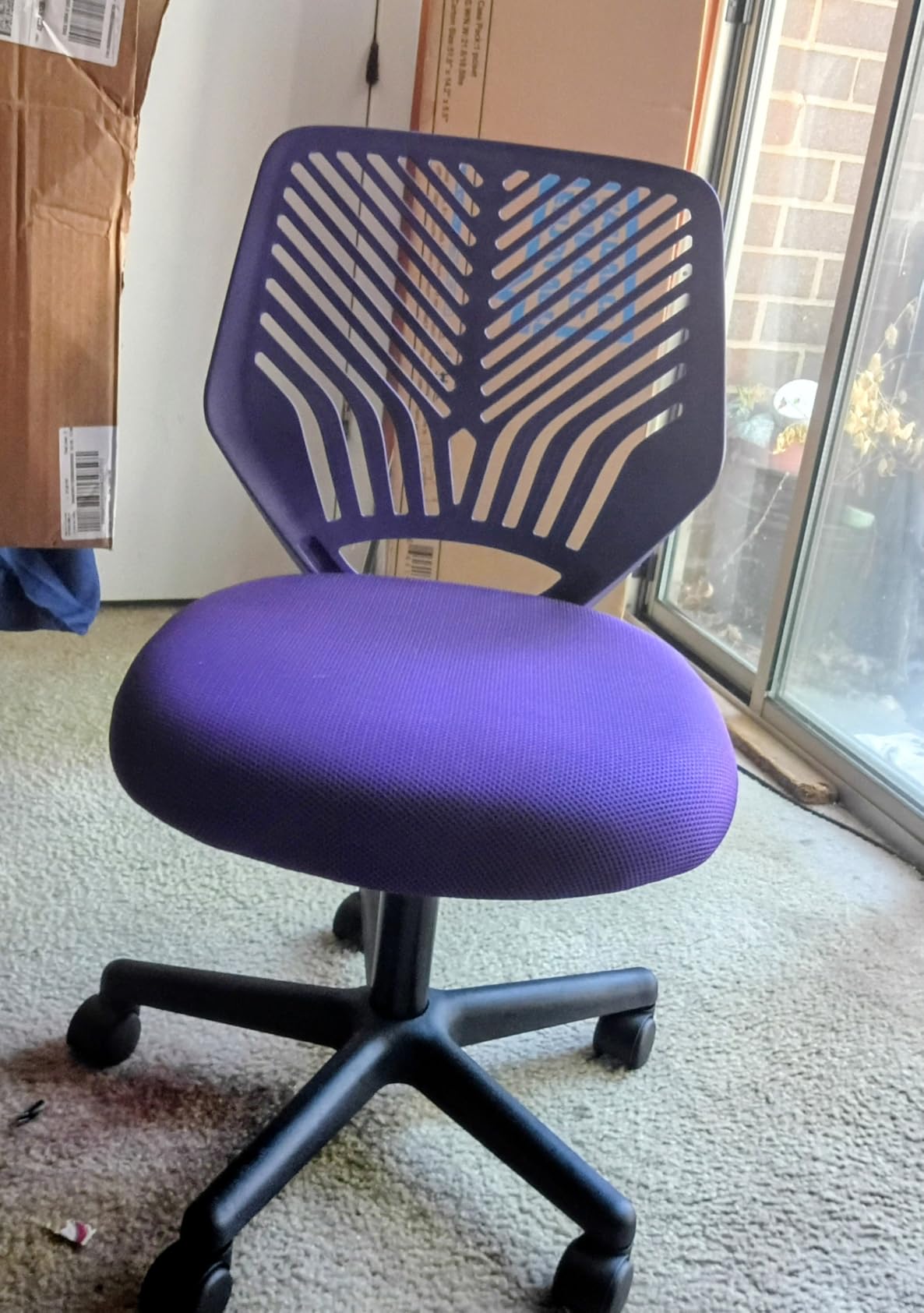 Yaheetech Small Desk Chair, Armless Adjustable Swivel Seat, Turquoise customer photo 2
