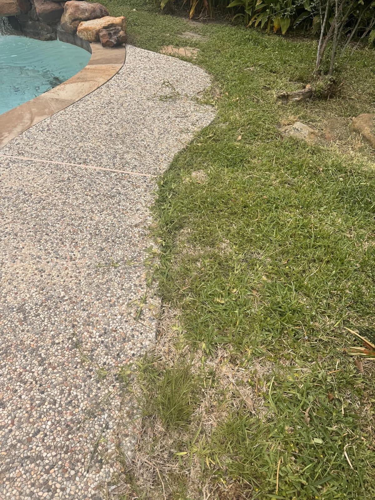 Colwelt Saw-Tooth Edger Lawn Tool, Half Moon Lawn Edger with T-Grip, Sidewalk Grass Long Handled Step Edger, 38-Inch customer photo 2