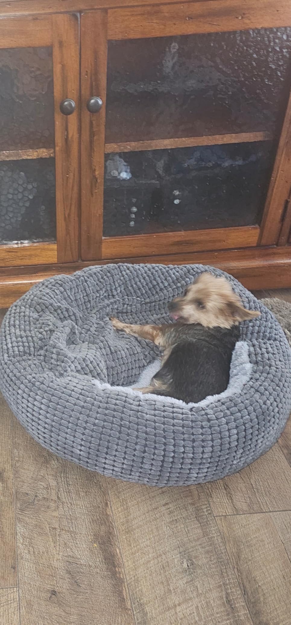 Small Dog Bed with Attached Blanket, Cozy Donut Cuddler Anti-Anxiety Hooded Pet Beds Calming Cave Bed. Orthopedic Round Puppy Beds for Dogs or Cats Washable, Anti-Slip Bottom, 23inch customer photo 1