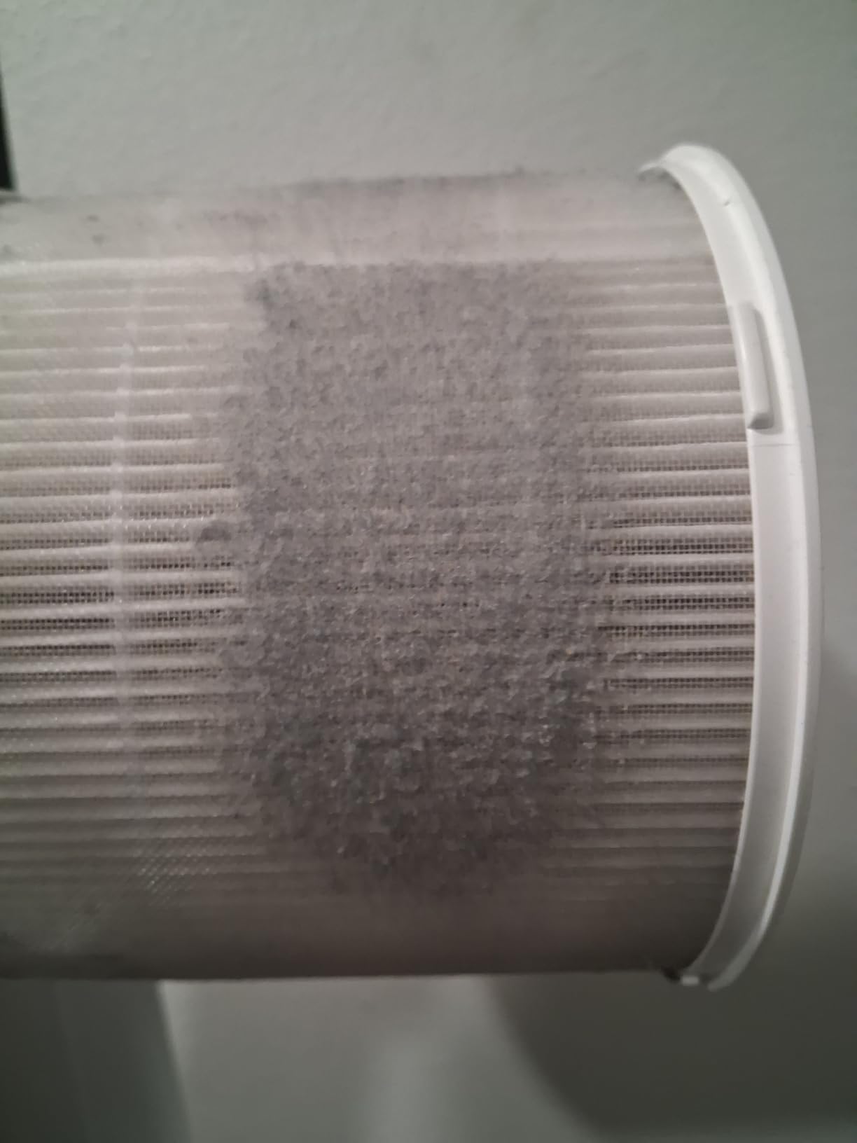 Clorox Small Room Air Purifiers for Bedroom Home, True HEPA Filter customer photo 1
