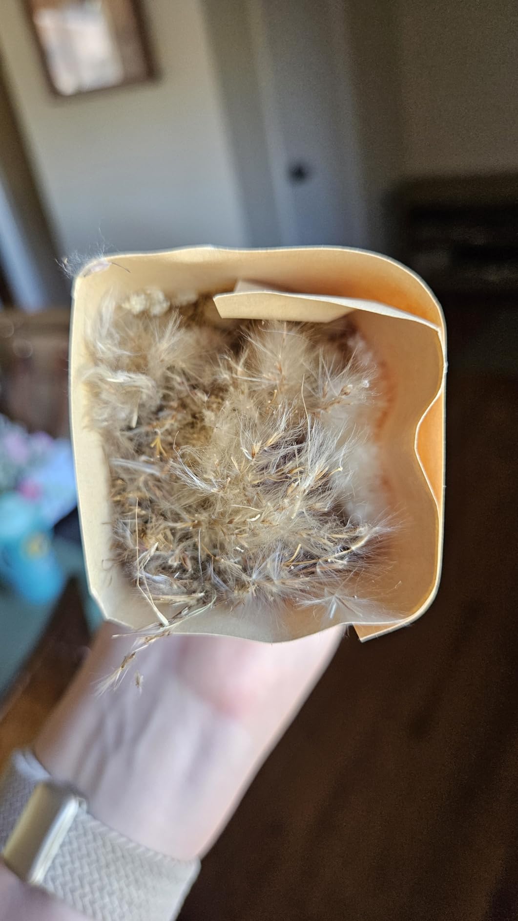 96PCS Natural Dried Pampas Grass Boho Home Decor Bouquet Phragmites Dried Flowers Bouquet for Wedding Floral Arrangements Living Room Decorations (96PCS) customer photo 1