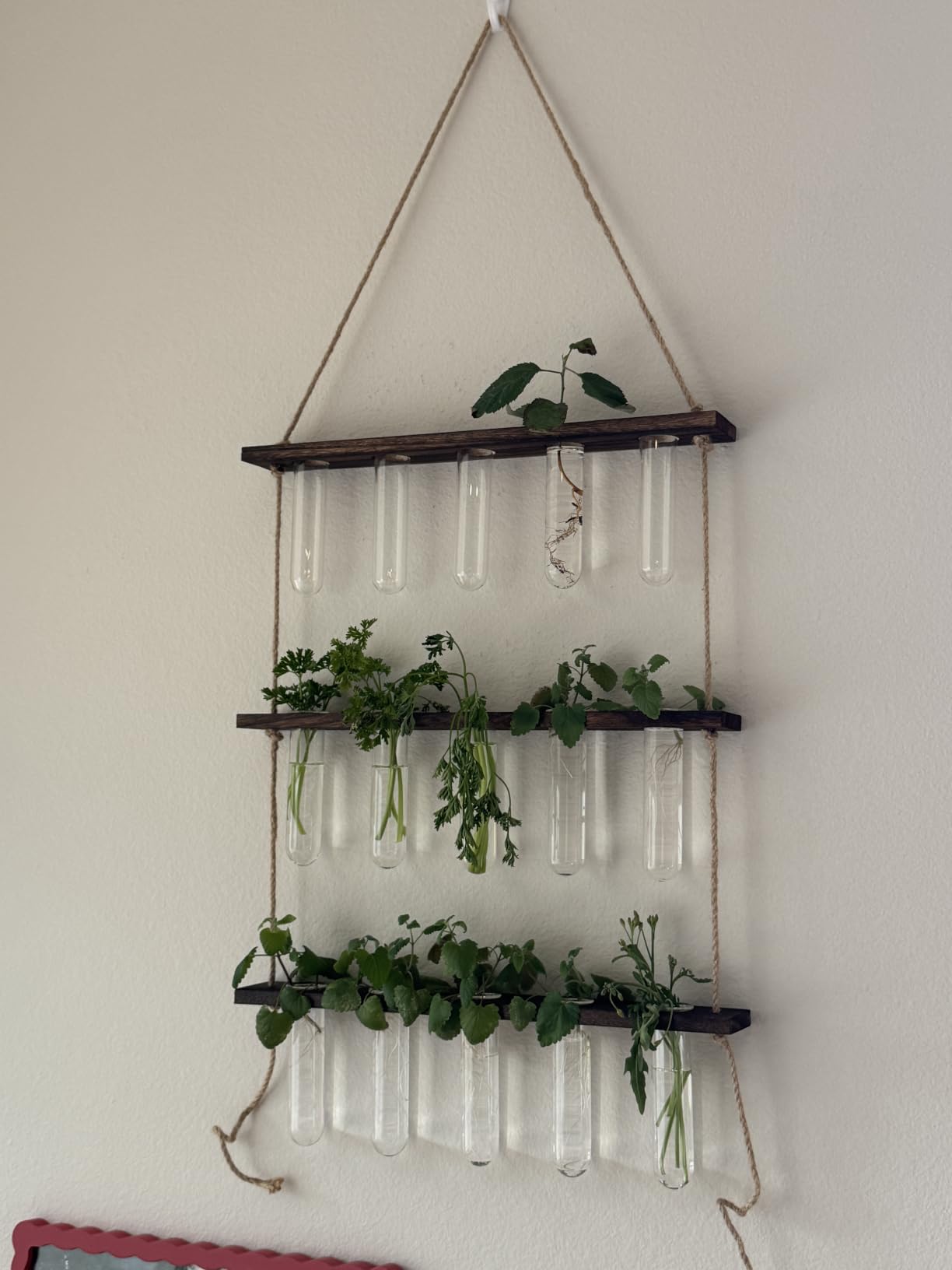 XXXFLOWER Wall Hanging Propagation Station with Wooden Stand 5 Glass Test Tubes 3 Tiered Planters Wall Terrarium for Home Office Plant Hanger Flower Vases Wall Decor Hydroponic Cuttings customer photo 2