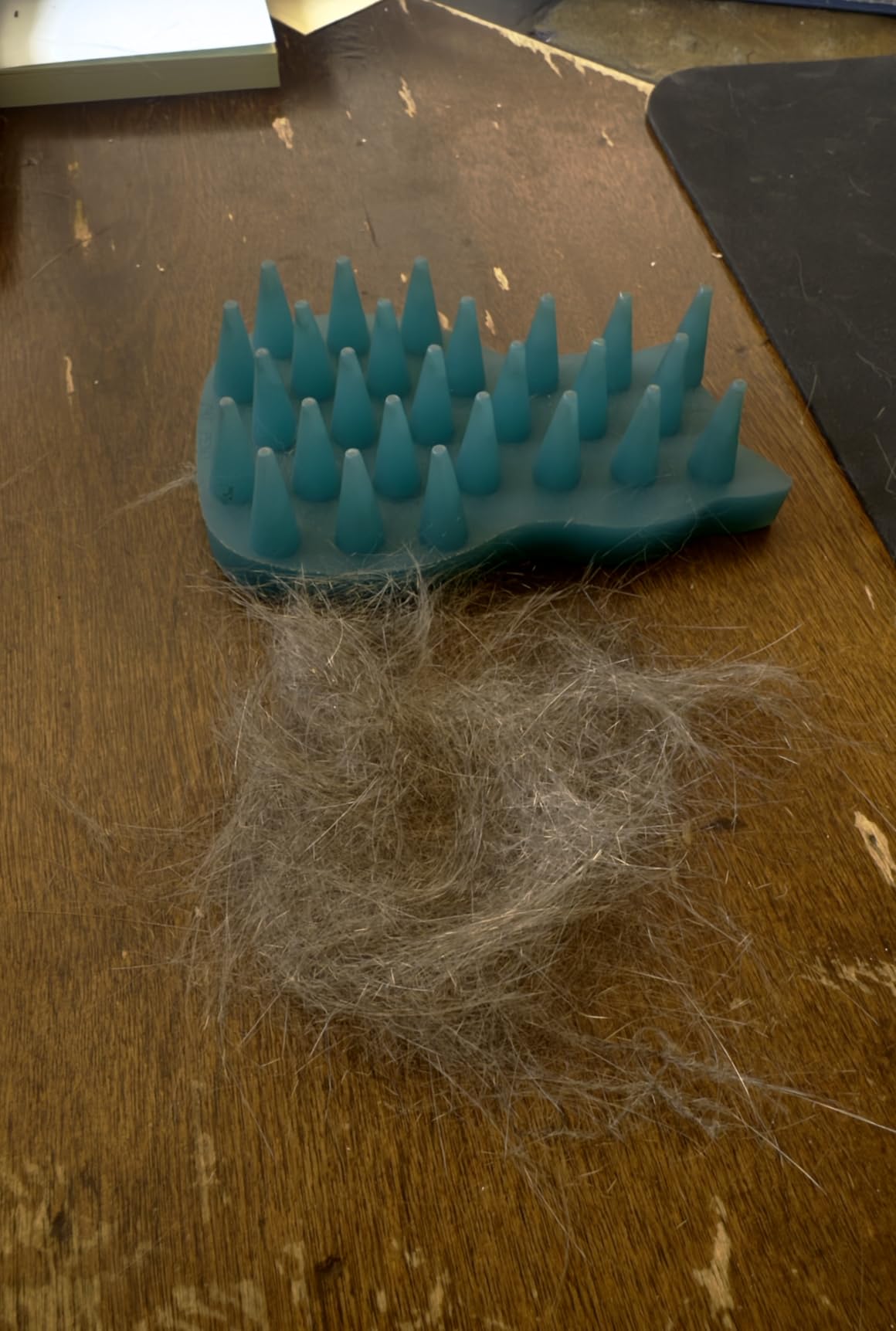Aumuca Skin Friendly Self-Cleaning Slicker Brush for Dogs & Cats, Gentle Pet Grooming Tool for Shedding & Deshedding, Efficient Hair Remover for Long & Short Haired Pets customer photo 2