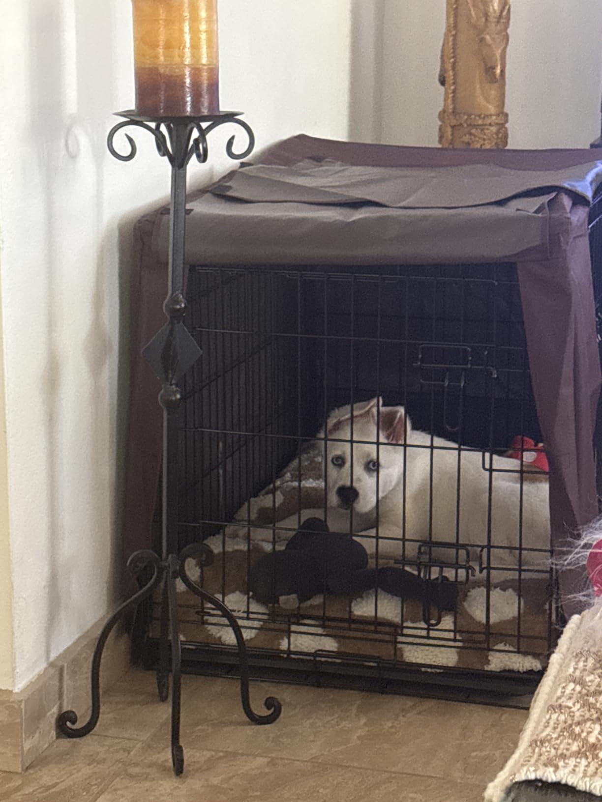 DONORO Dog Crates for Small Medium Size Dogs Indoor Double Door Dog Kennels & Houses for Puppy and Cats, Collapsible Metal Contour Dog Cages (Brown, 30.0