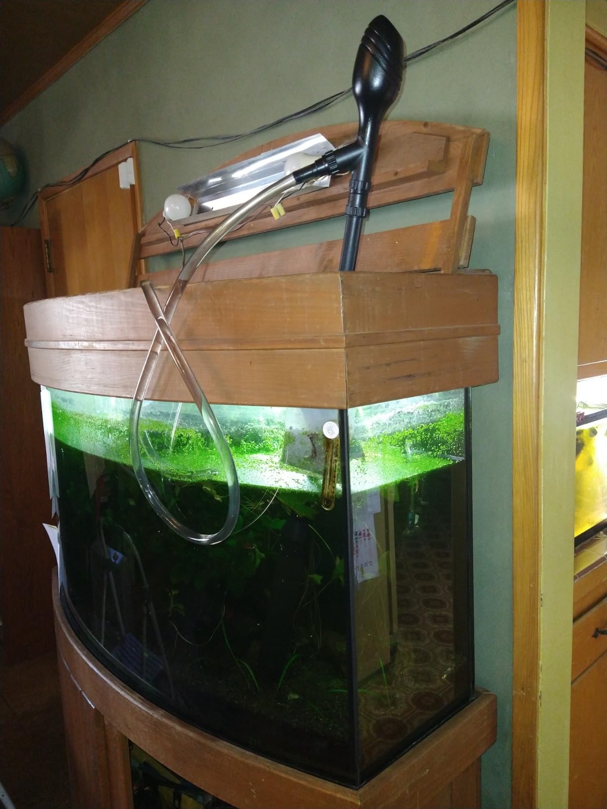 hygger Manual 256GPH Gravel Vacuum for Aquarium, Run in Seconds Aquarium Gravel Cleaner Low Water Level Water Changer Fish Tank Cleaner with Pinch or Grip Suction Ball Adjustable Length customer photo 2