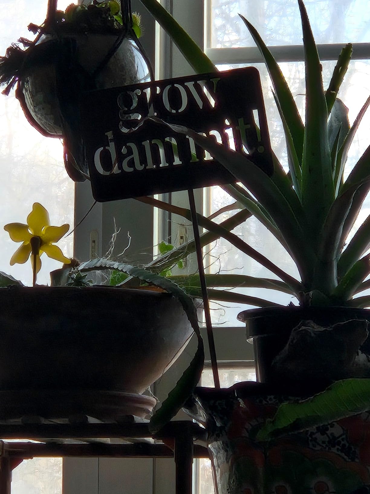 Island Genius Grow Dammit Funny Garden Sign, Unique Outside Gardening Decor Outdoor, Flower Vegetable Garden Accessories, Fun Gardening Gifts for Women Men Mom Gardener Who Love Plants, Alloy Steel customer photo 1