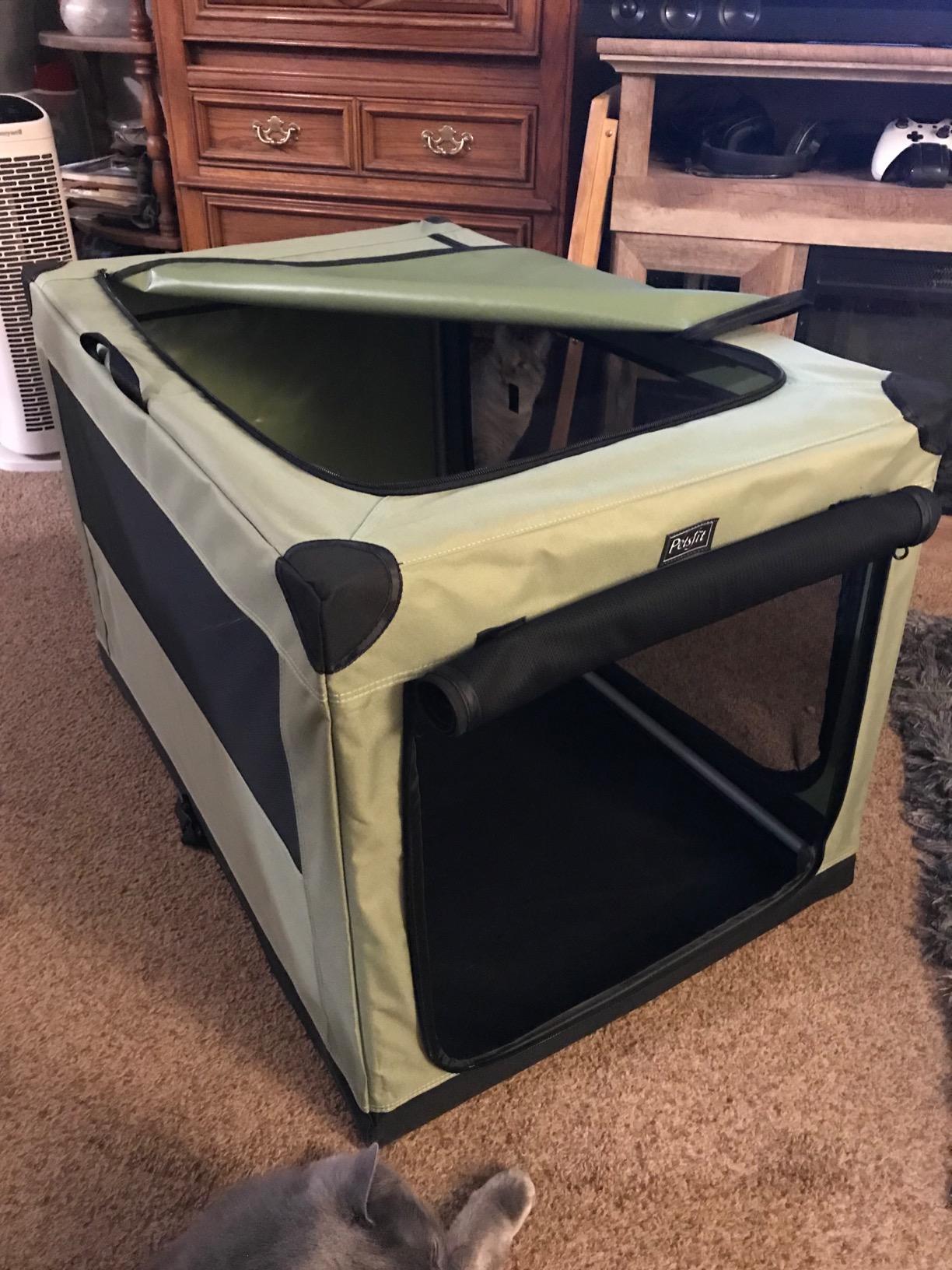 PETSFIT 40