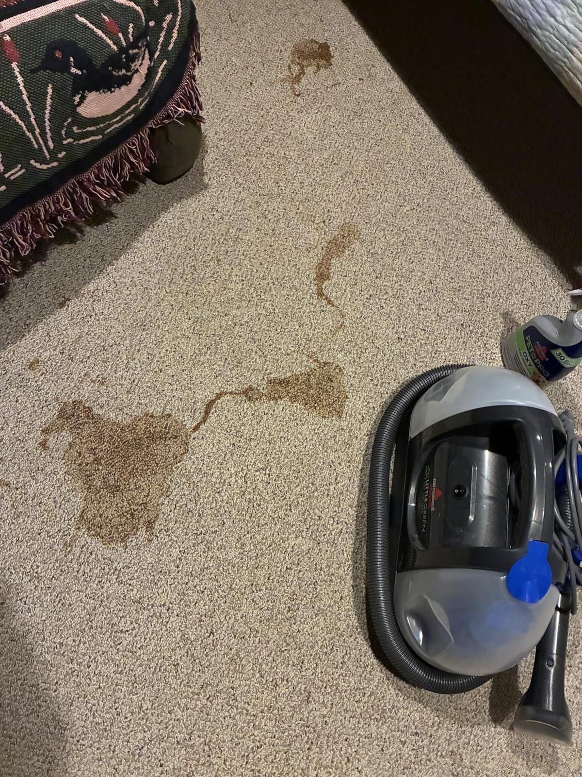 BISSELL Little Green Pet Deluxe Portable Carpet Cleaner, 3353 customer photo 2