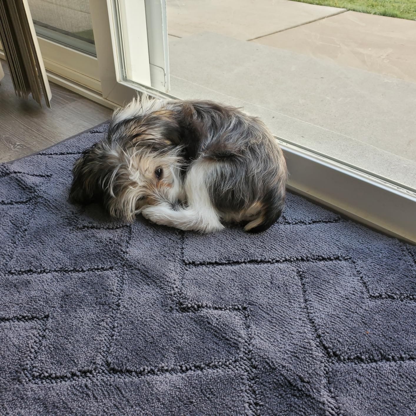 PURRUGS Dirt Trapping Door Mat Indoor Entrance, 20