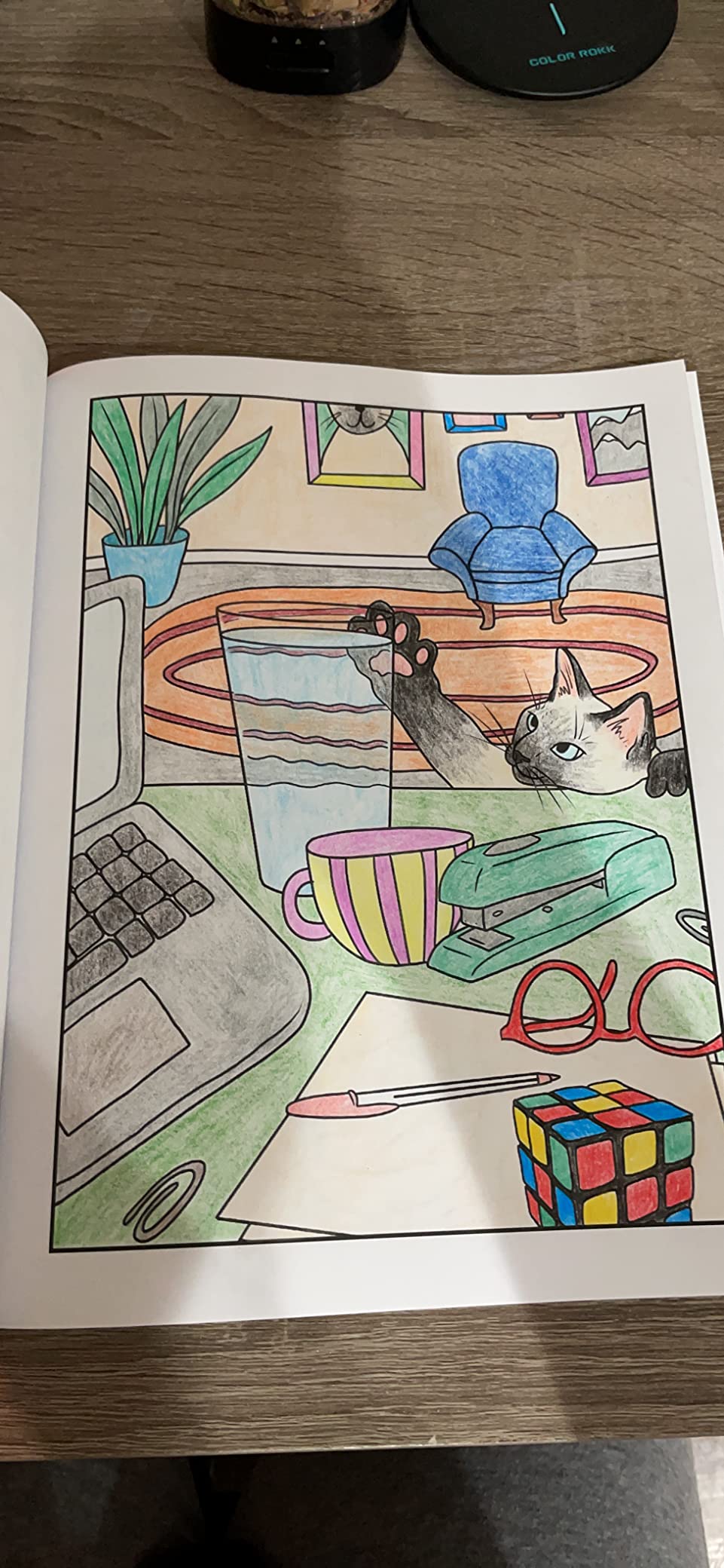 Cats Being Dicks: A funny adult coloring book for cat lovers customer photo 1