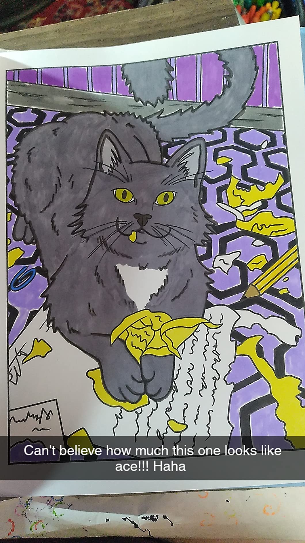 Cats Being Dicks: A funny adult coloring book for cat lovers customer photo 2